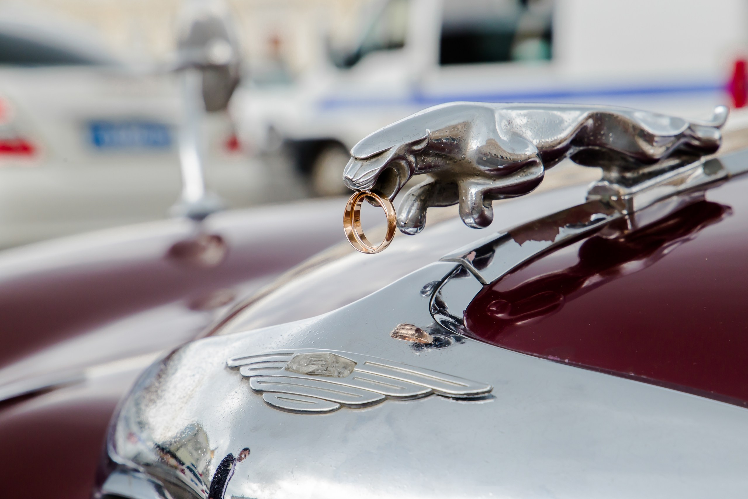 Свадьбы — Виктория и Александр 28/07. Свадебный и семейный фотограф в Санкт-Петербурге Макеева Наталья