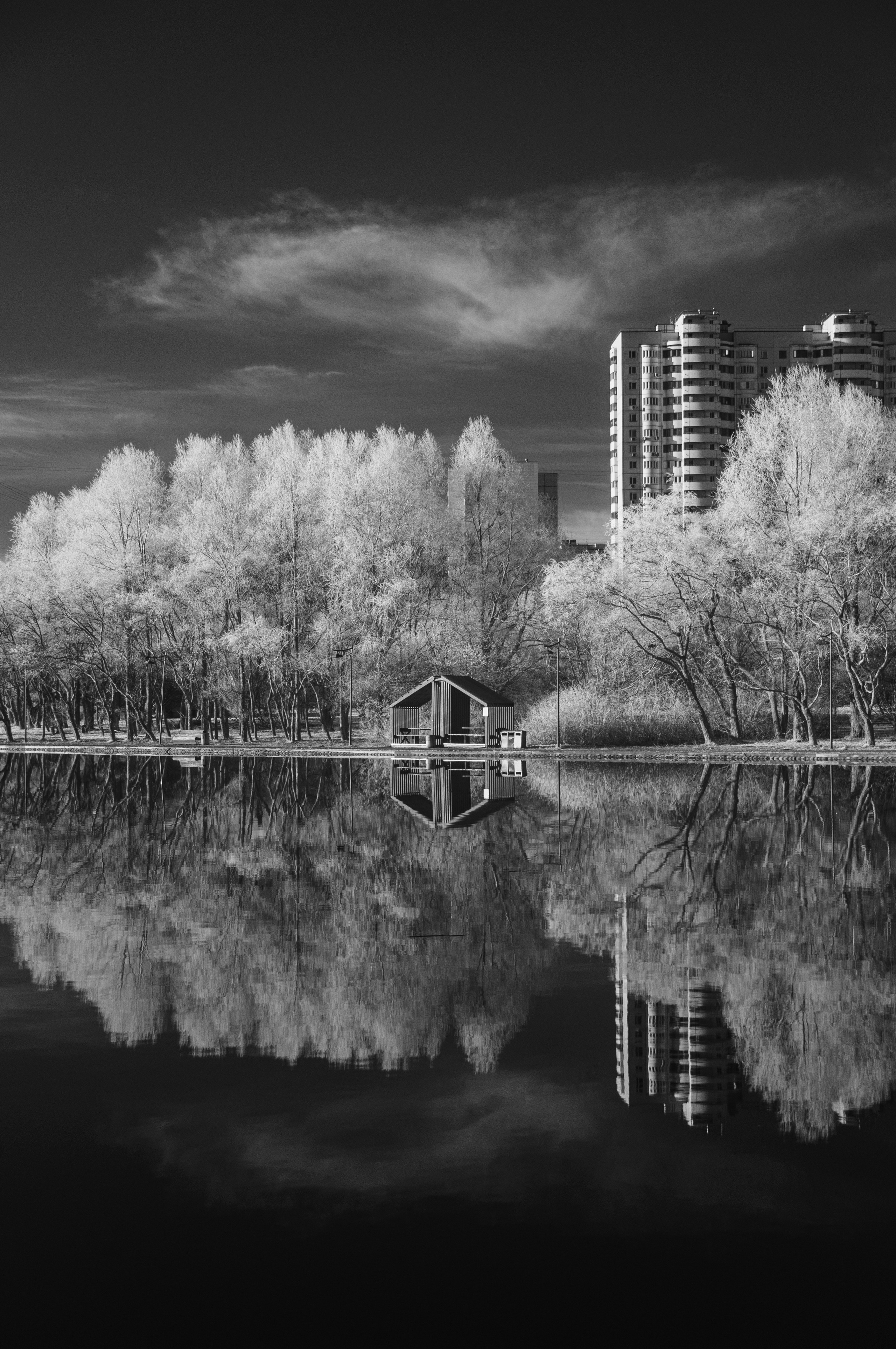 Инфракрасная фотография. Портретный, репортажный и свадебный фотограф в Екатеринбурге Денис Южаков