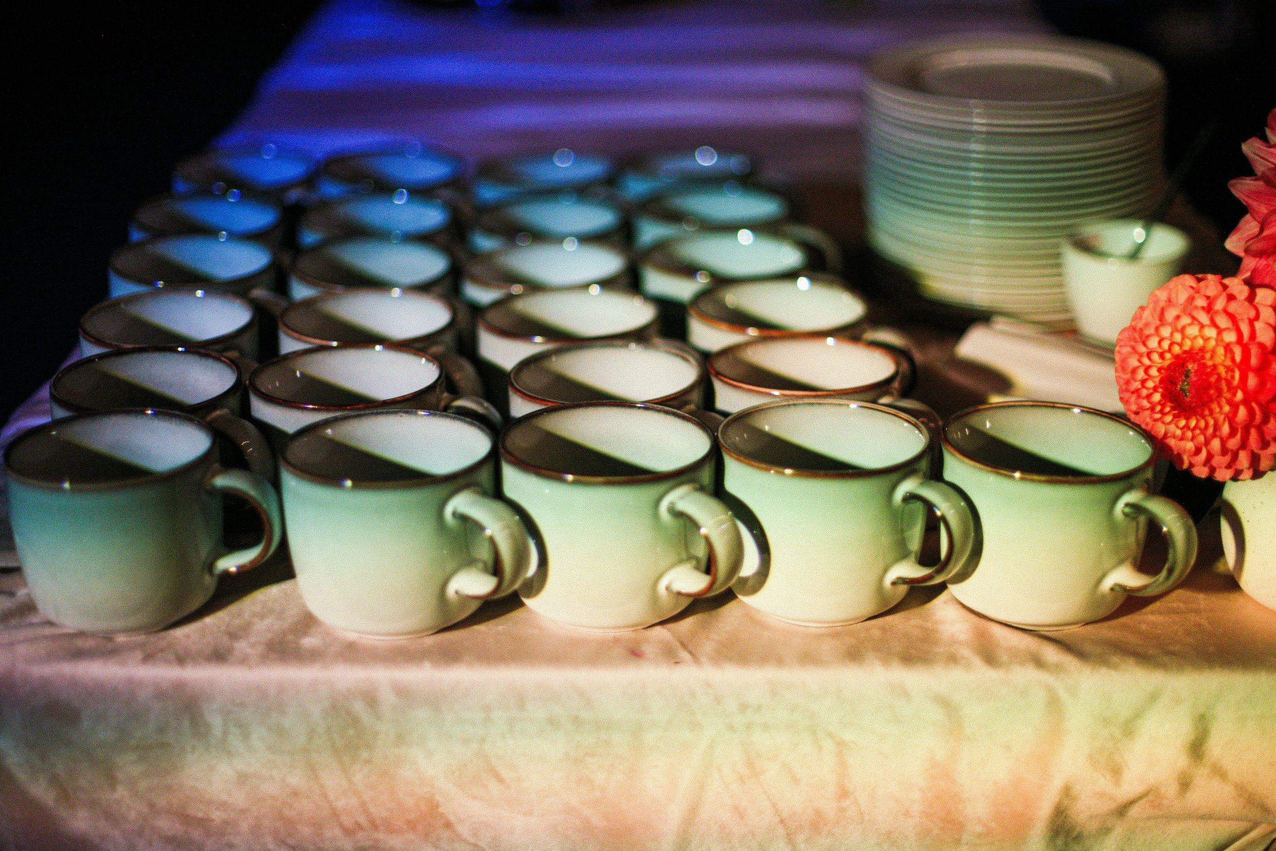 Аня и Кирилл (полный день с росписью). Фотограф Екатерина Максимова: семейные, индивидуальные съемки, свадьбы