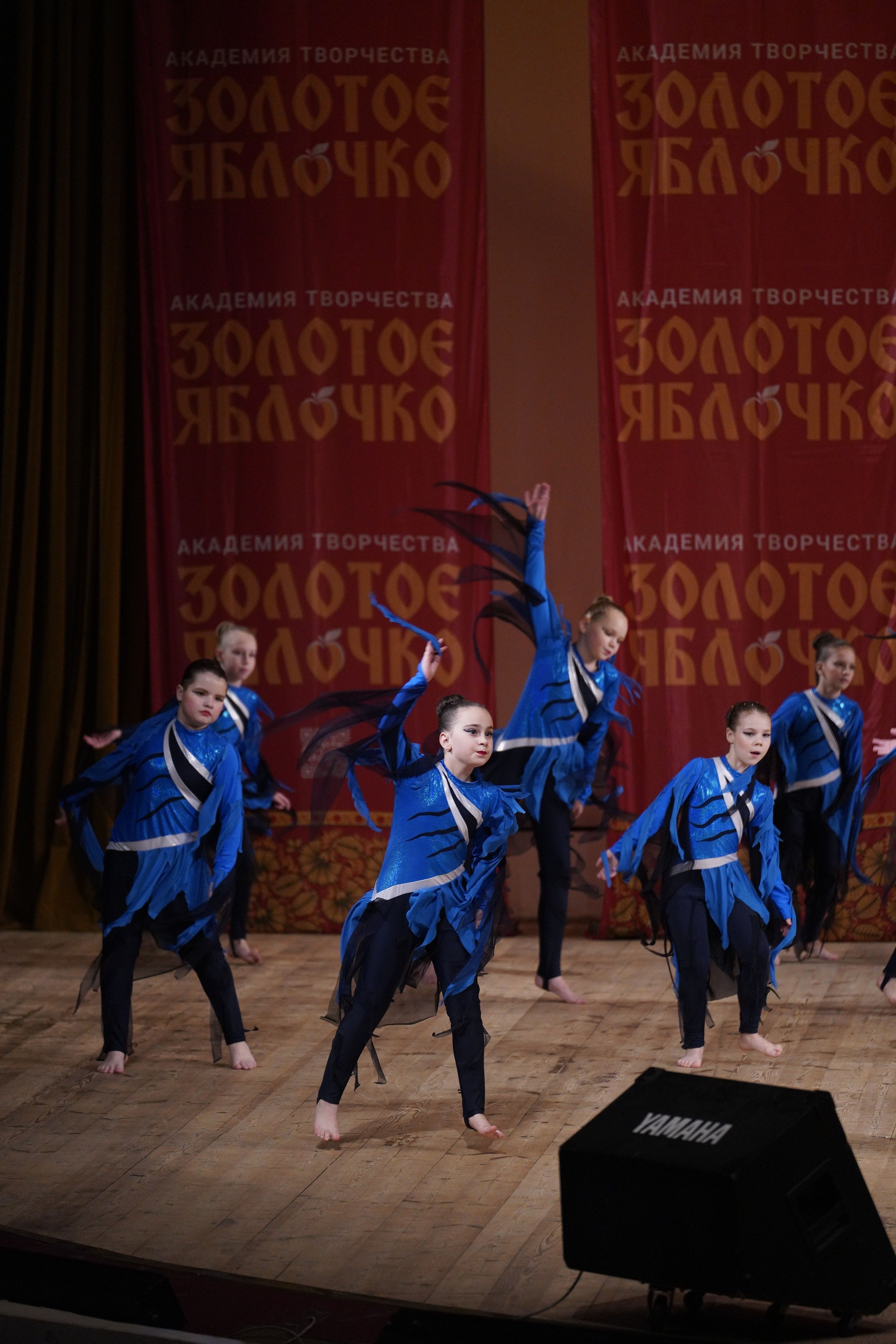 24 ноября, г. Санкт-Петербург. Золотое яблочко