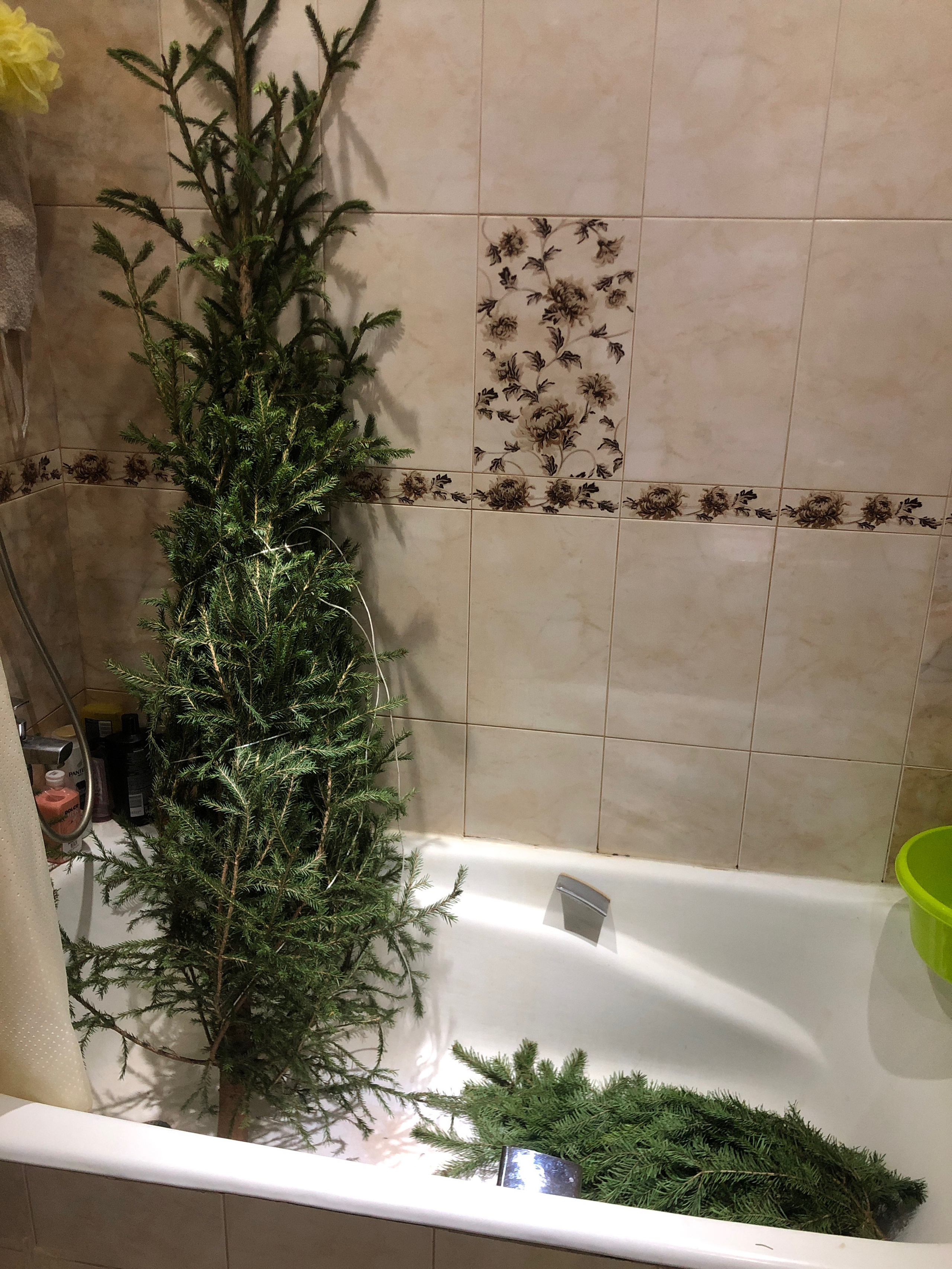 Декабрь. Семейный, Свадебный фотограф СПБ Питер— Романова Екатерина