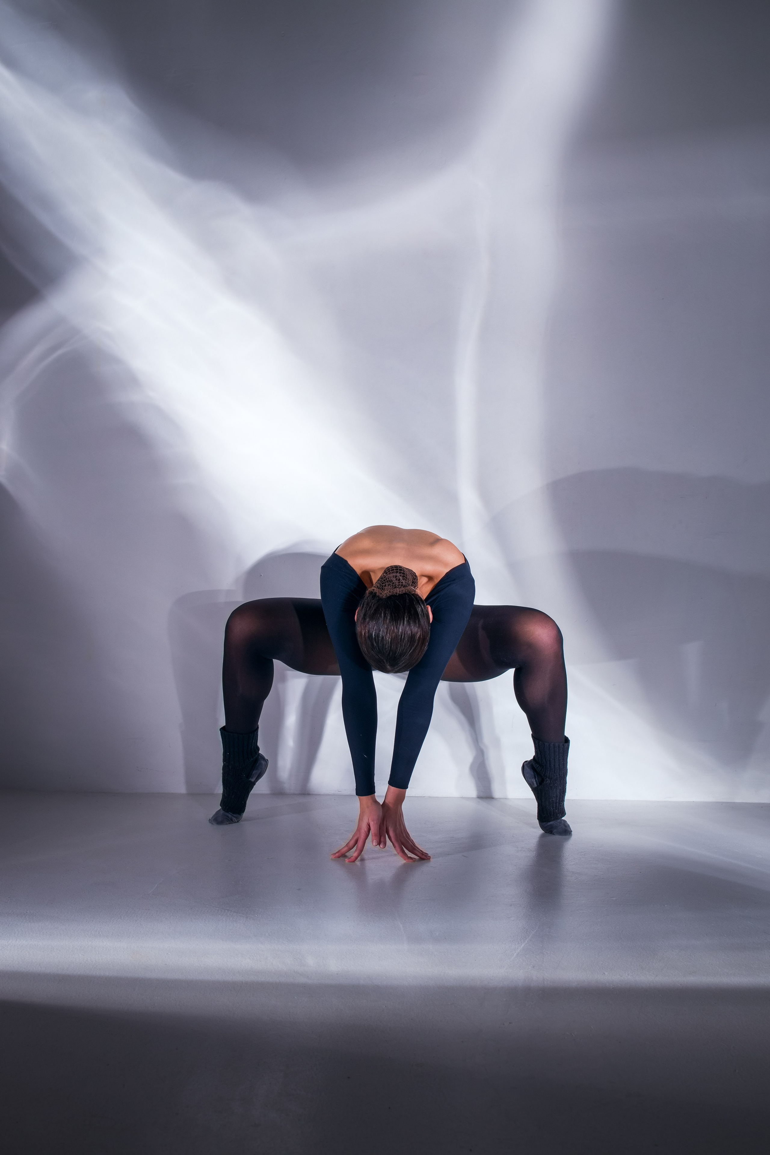 Лилия. Художественная фотография