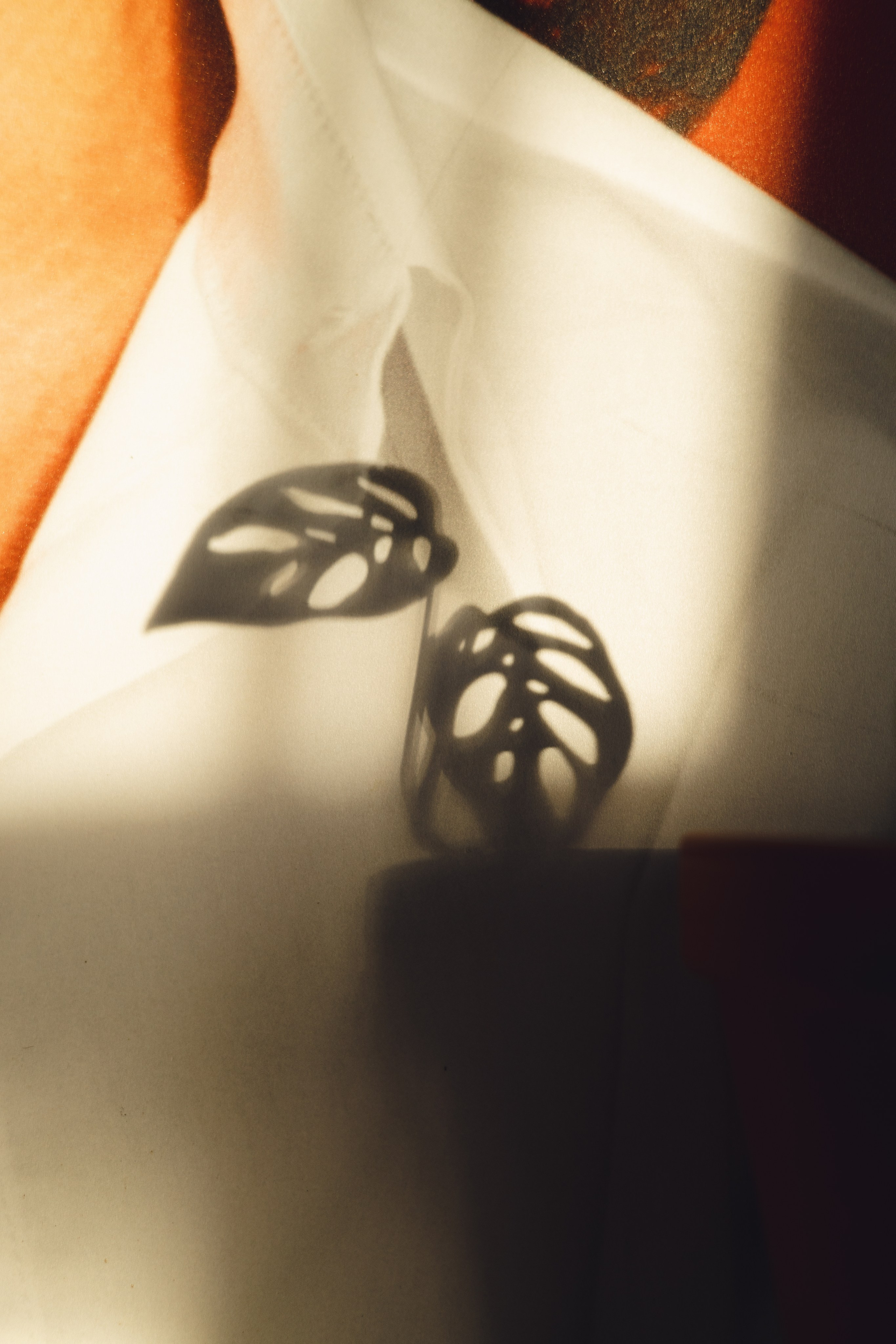 Предметная съемка для бизнеса. Фотограф в Санкт-Петербурге Осокина Елизавета