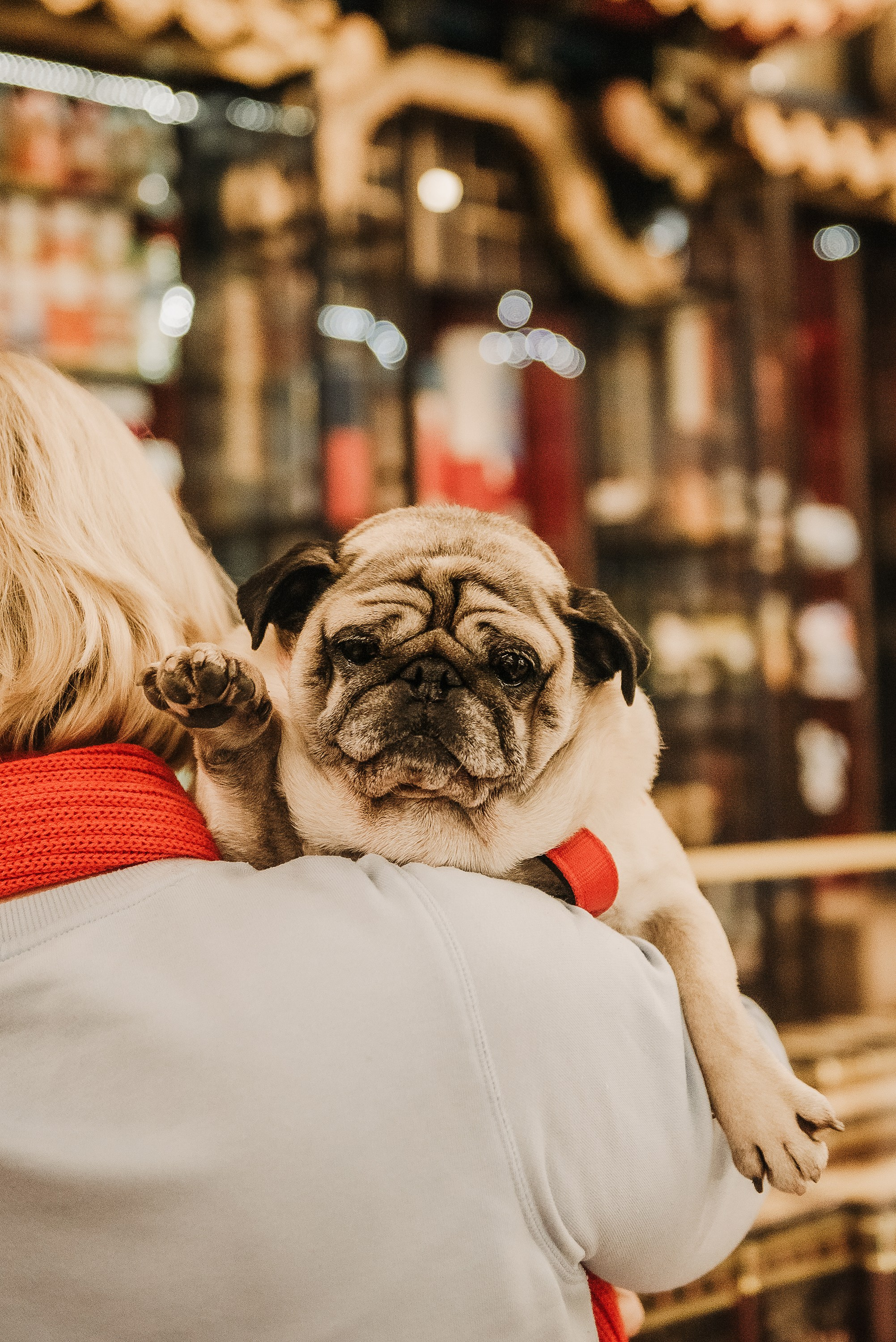 Ольга и Потапум. Прогулка к чайному дому. Семейный Фотограф в Москве Ирина Хохлова