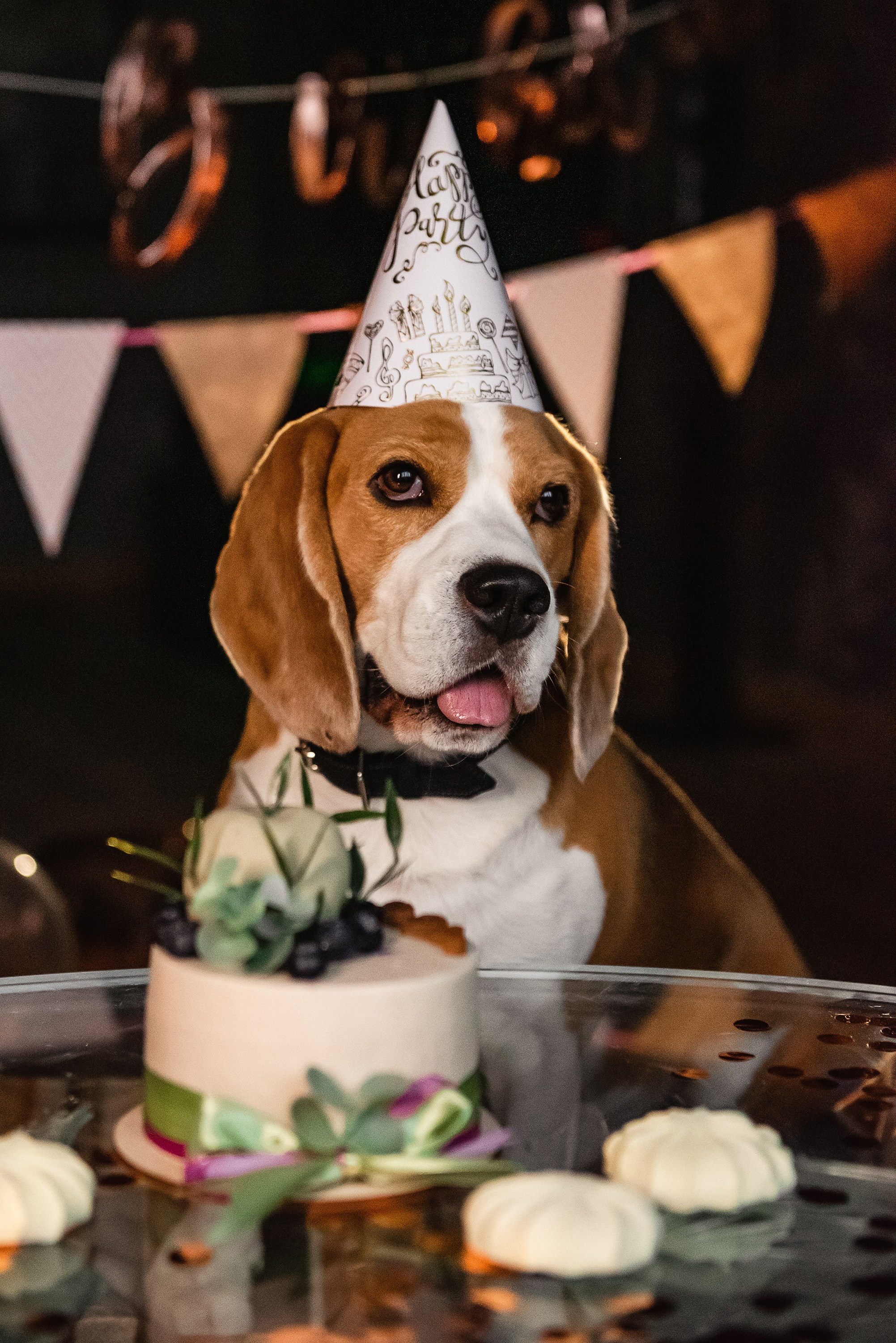 День рождение Дарси. Семейный Фотограф в Москве Ирина Хохлова