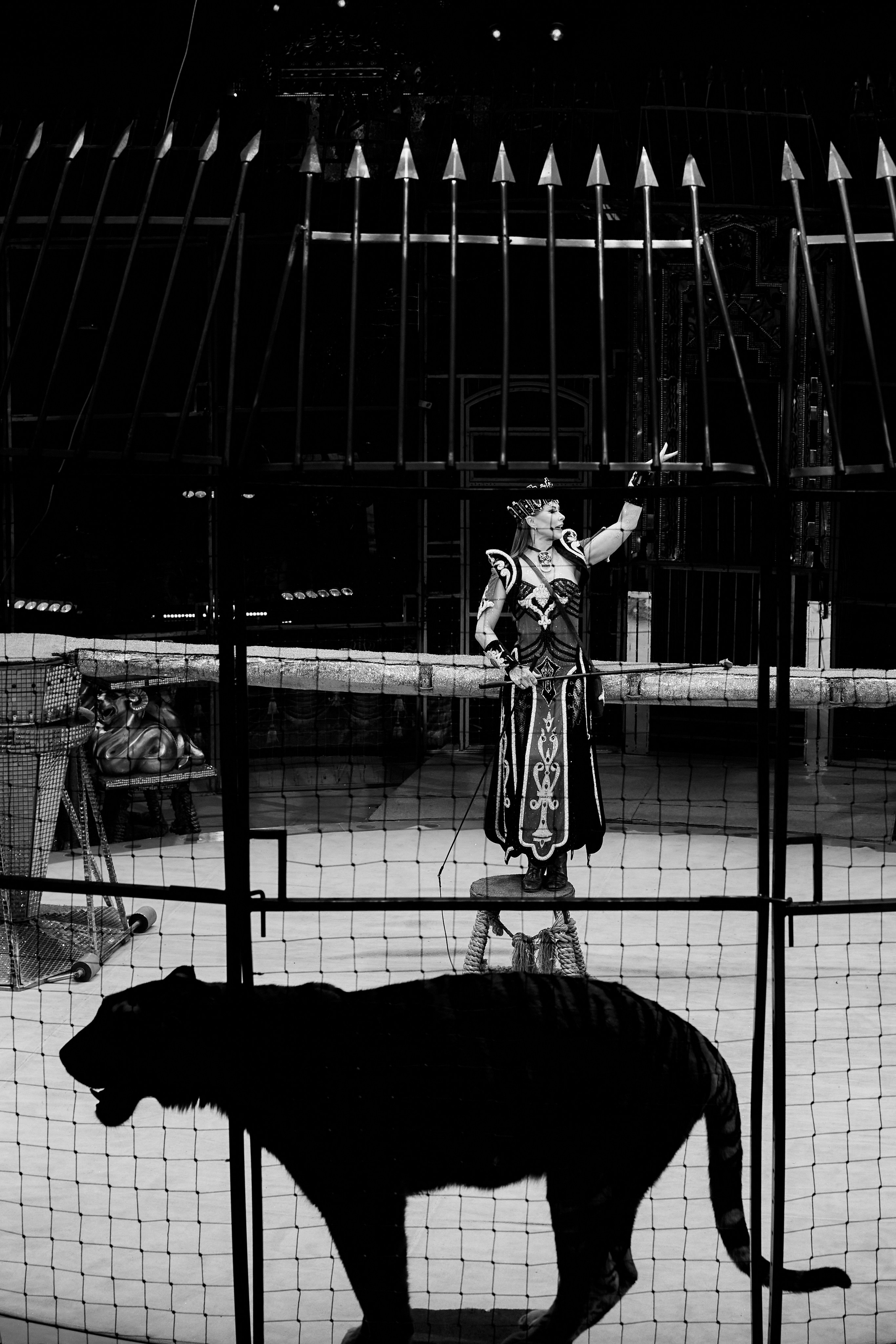 Королевский цирк Гии Эрадзе. Свадебный и семейный фотограф