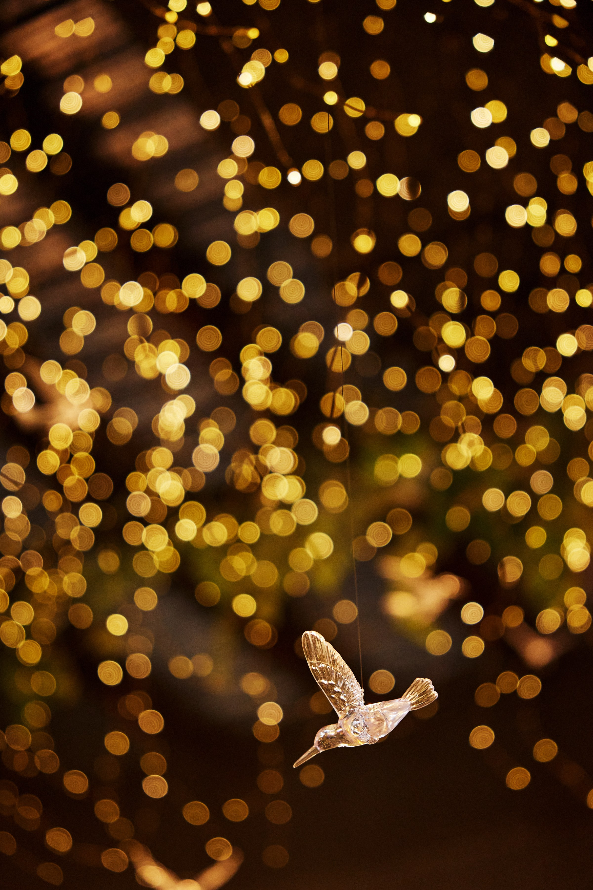 Сергей и Алина. Фотограф Айвазова Наталья Краснодар