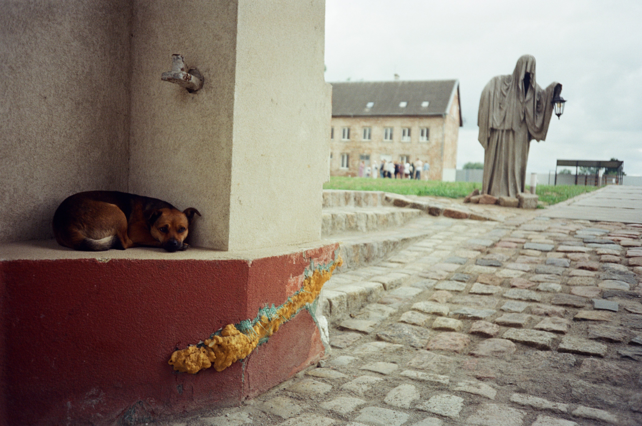 Цвет пленка. Событийный фотограф в Москве Юлия Папиянц