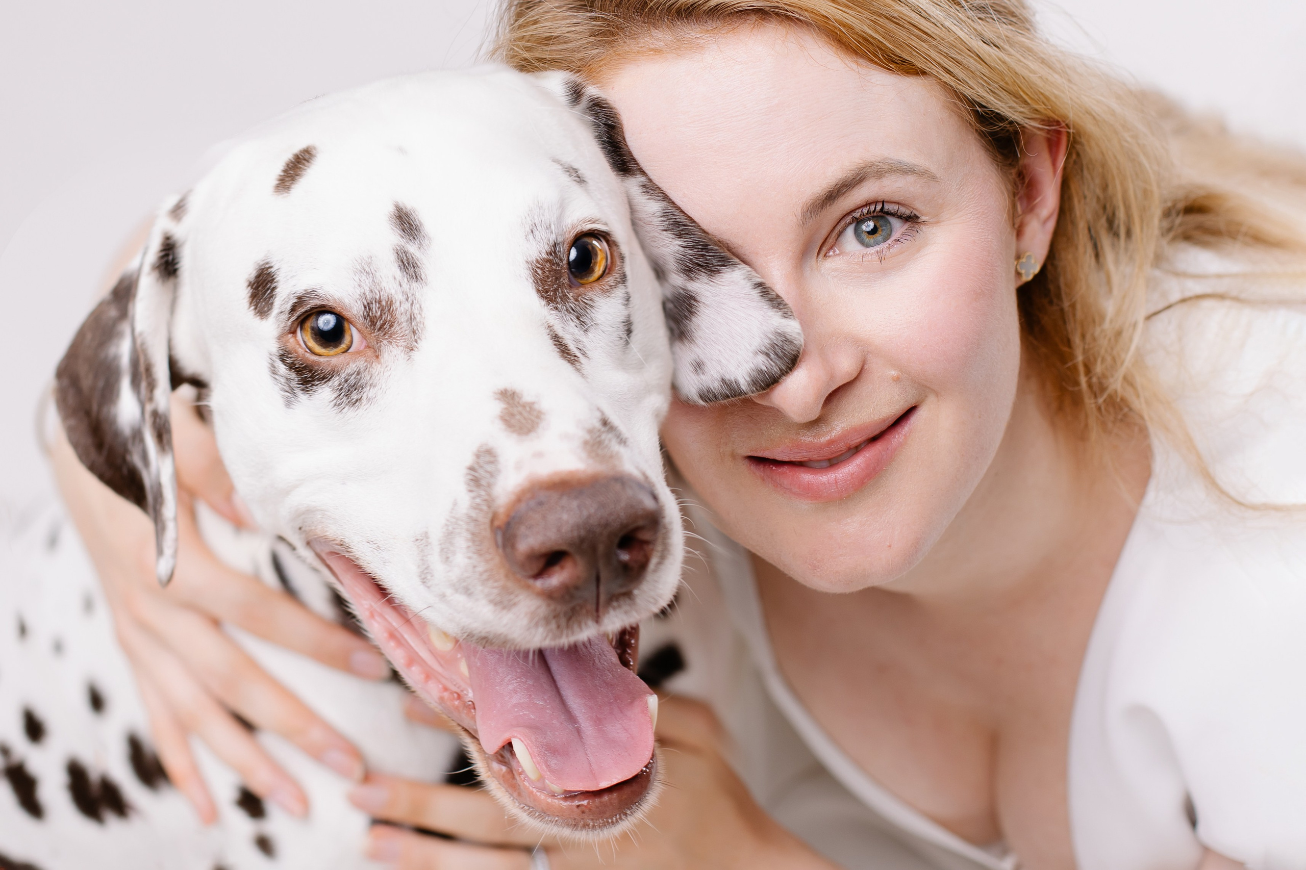 Hundeportfolio | Hundefotograf München & Ismaning