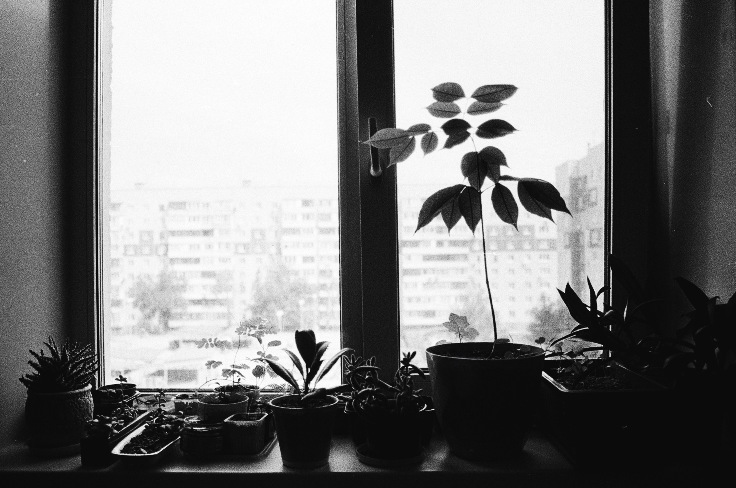 Портретный и репортажный фотограф г. Тюмень Ник Стенсил