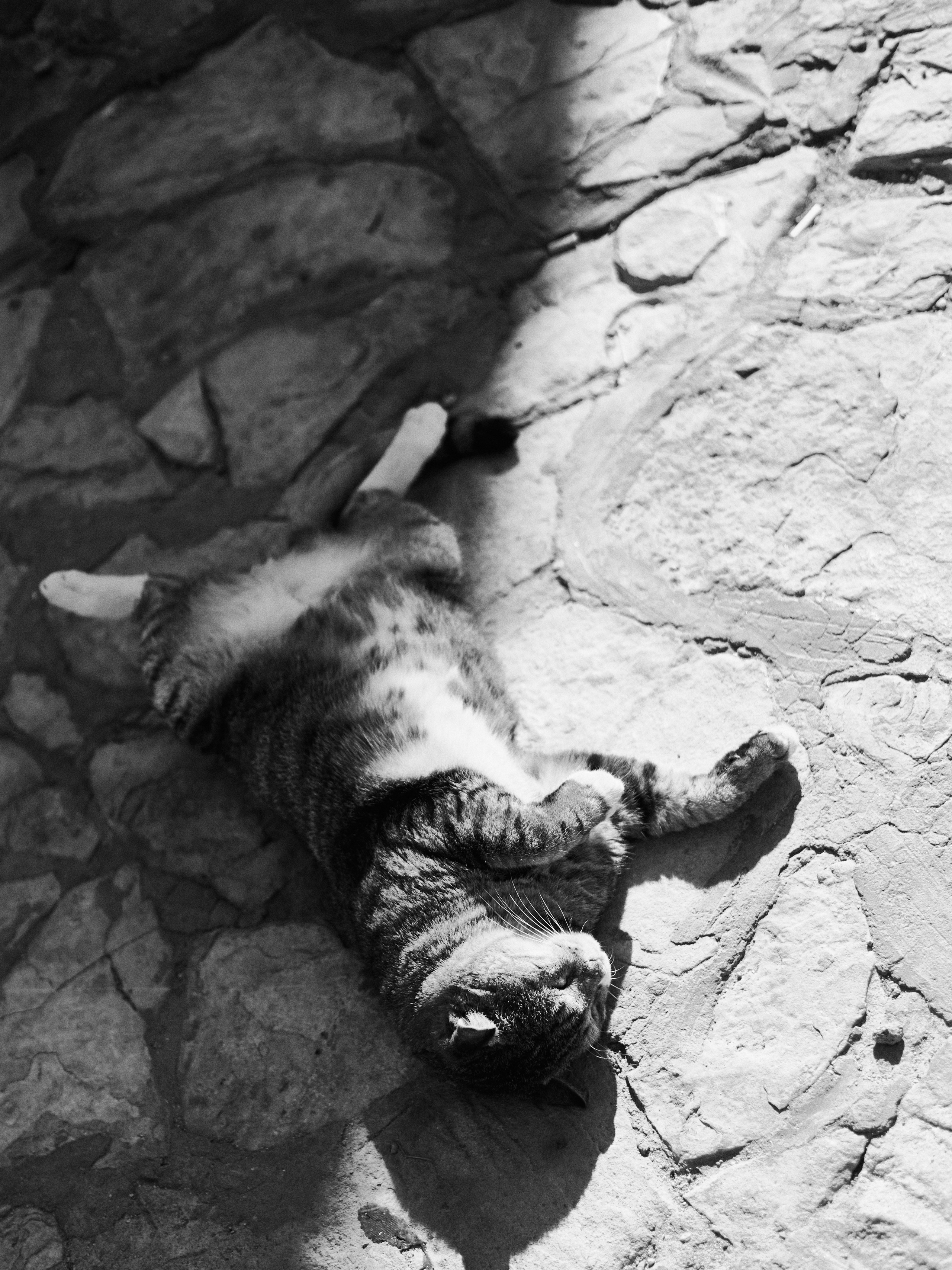 Другое 3. Jorgis — фотограф в Хургаде / обучение фотографии