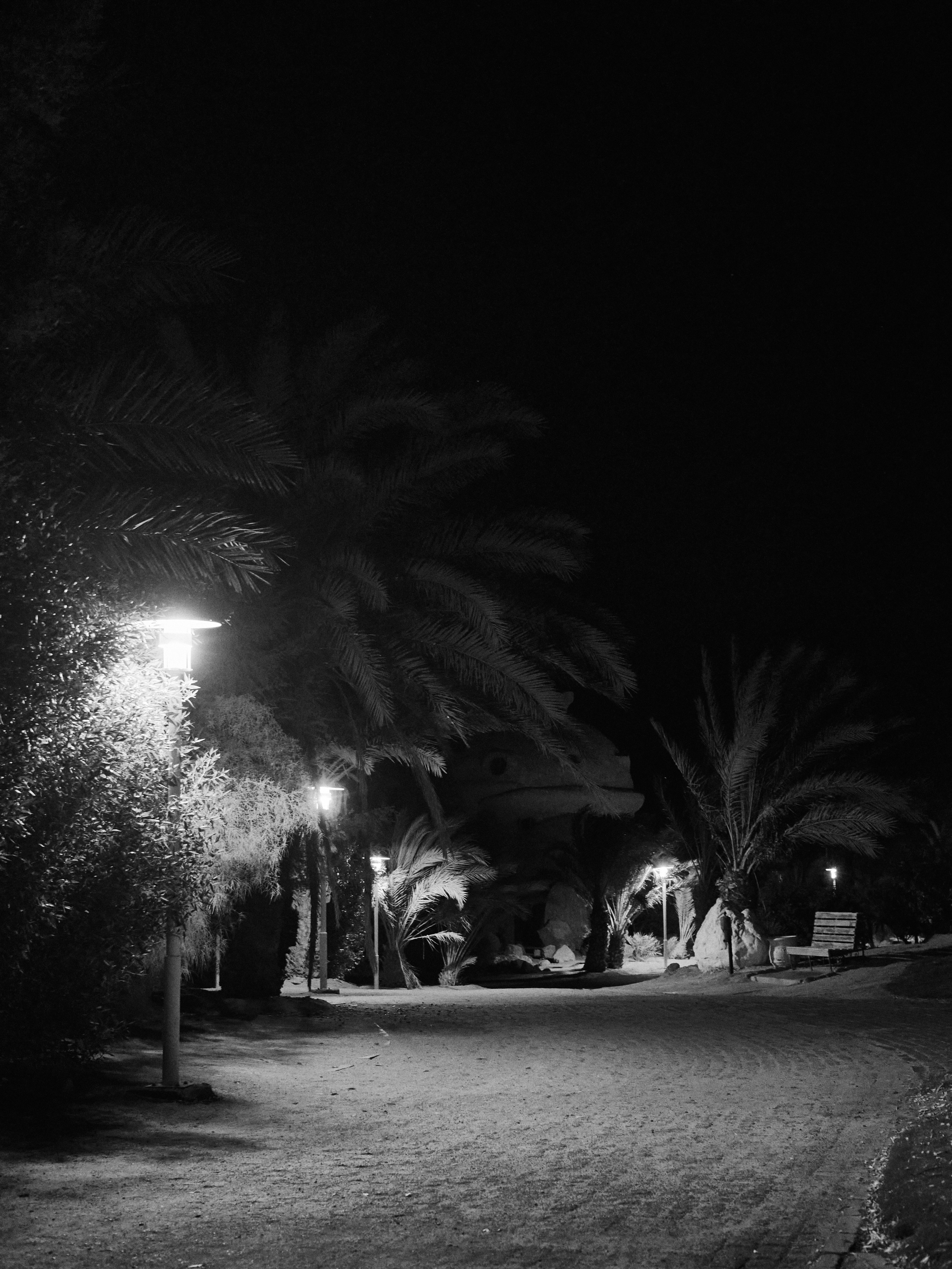 Другое 3. Jorgis Talè — photographer, kind person, teacher of arts and other mag