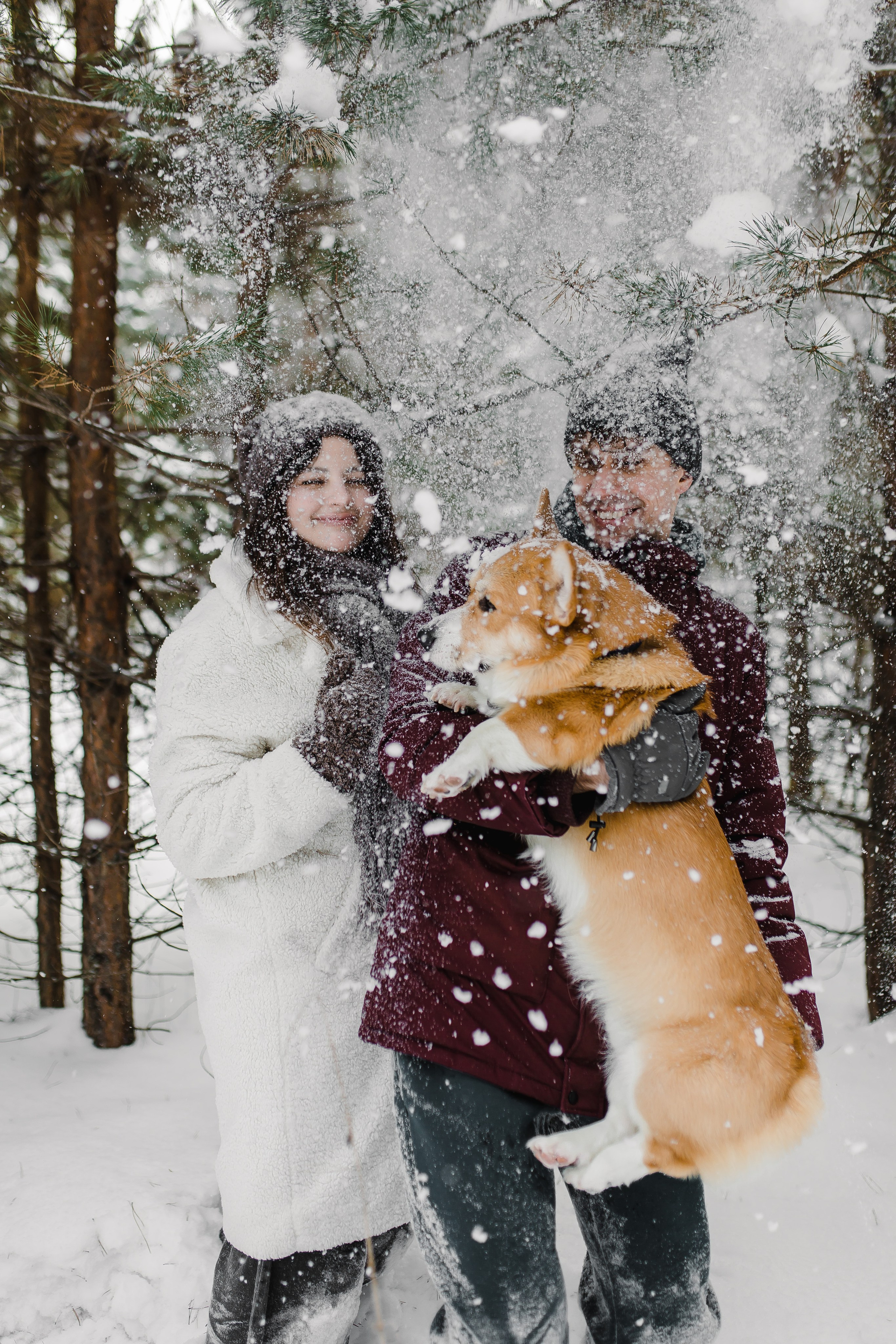 Дима и Даша. Свадебный и семейный фотограф в Томске Алексей
