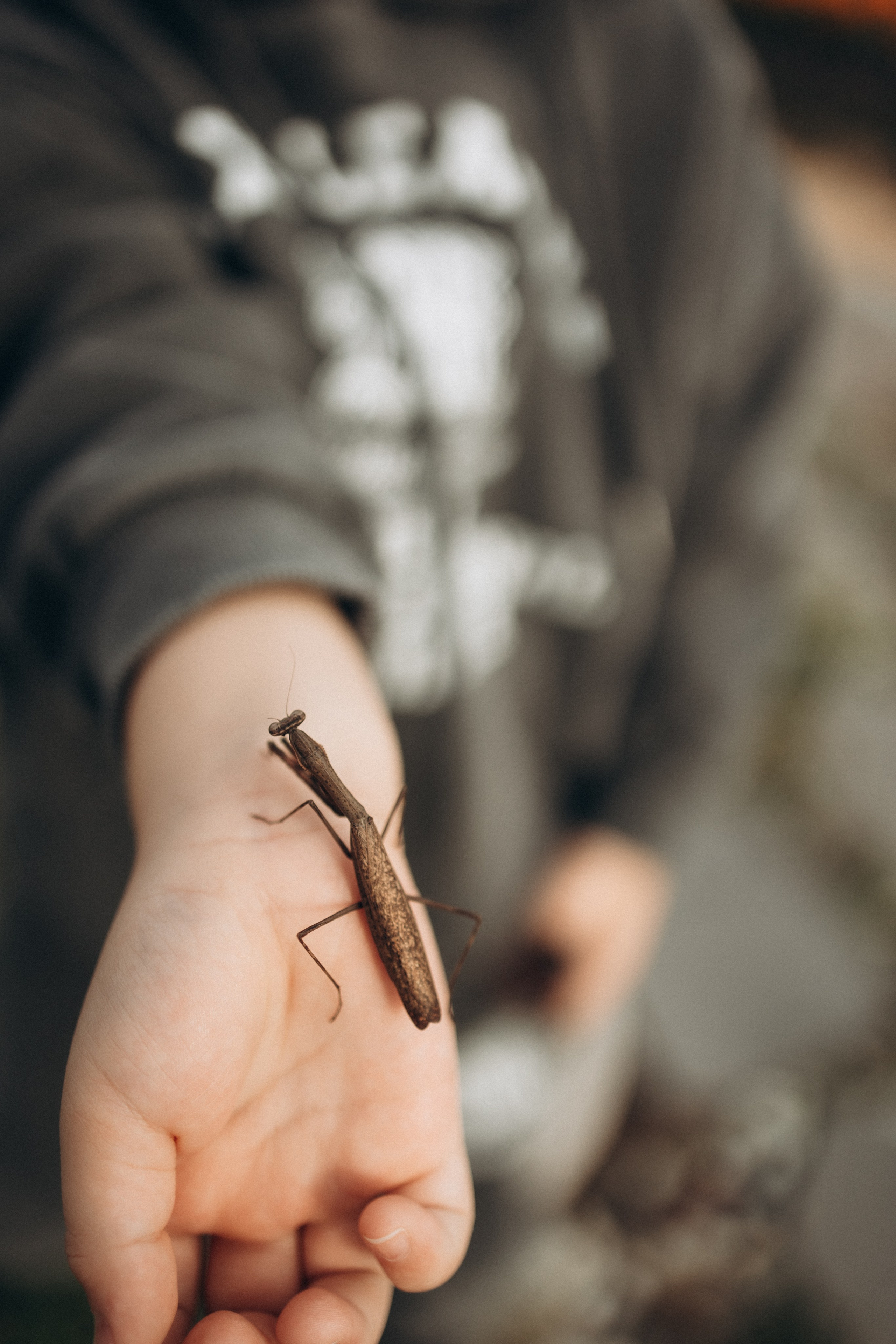 Уля и Джун семейная история мамы и сына🤍. Фотограф Артем Бросов в Санкт-Петербурге и Дубае
