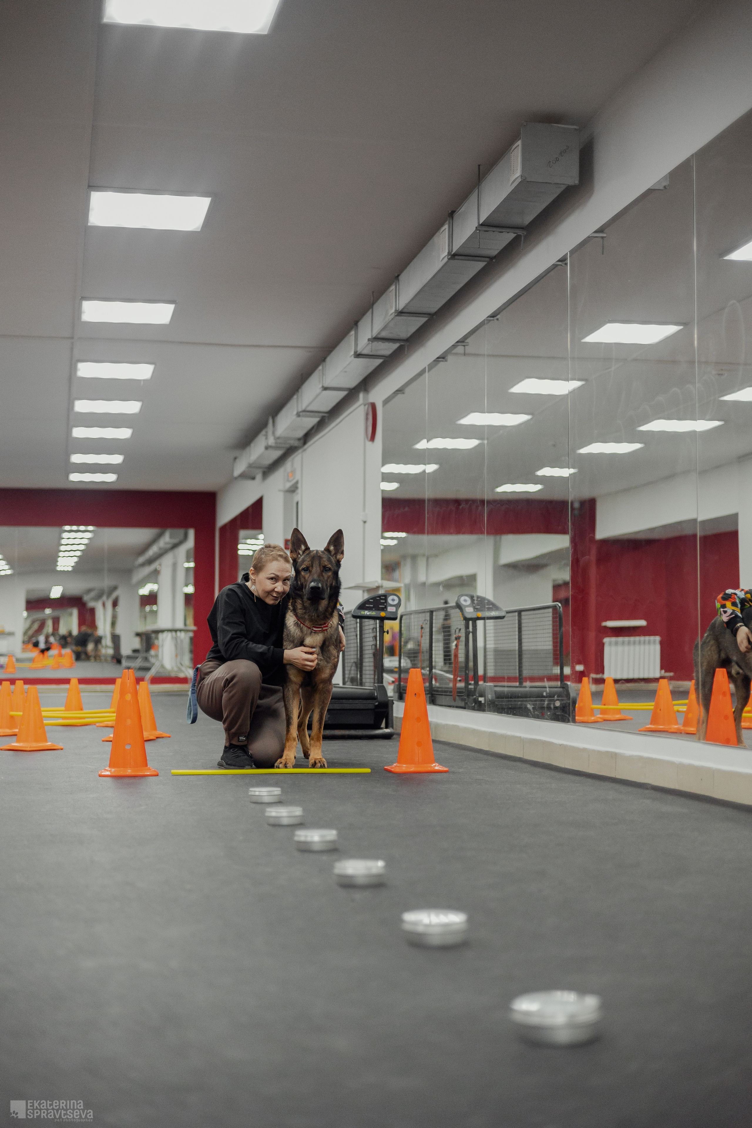NoseWork. Фотограф Анималист Екатерина Справцева в Нижнем Новгороде