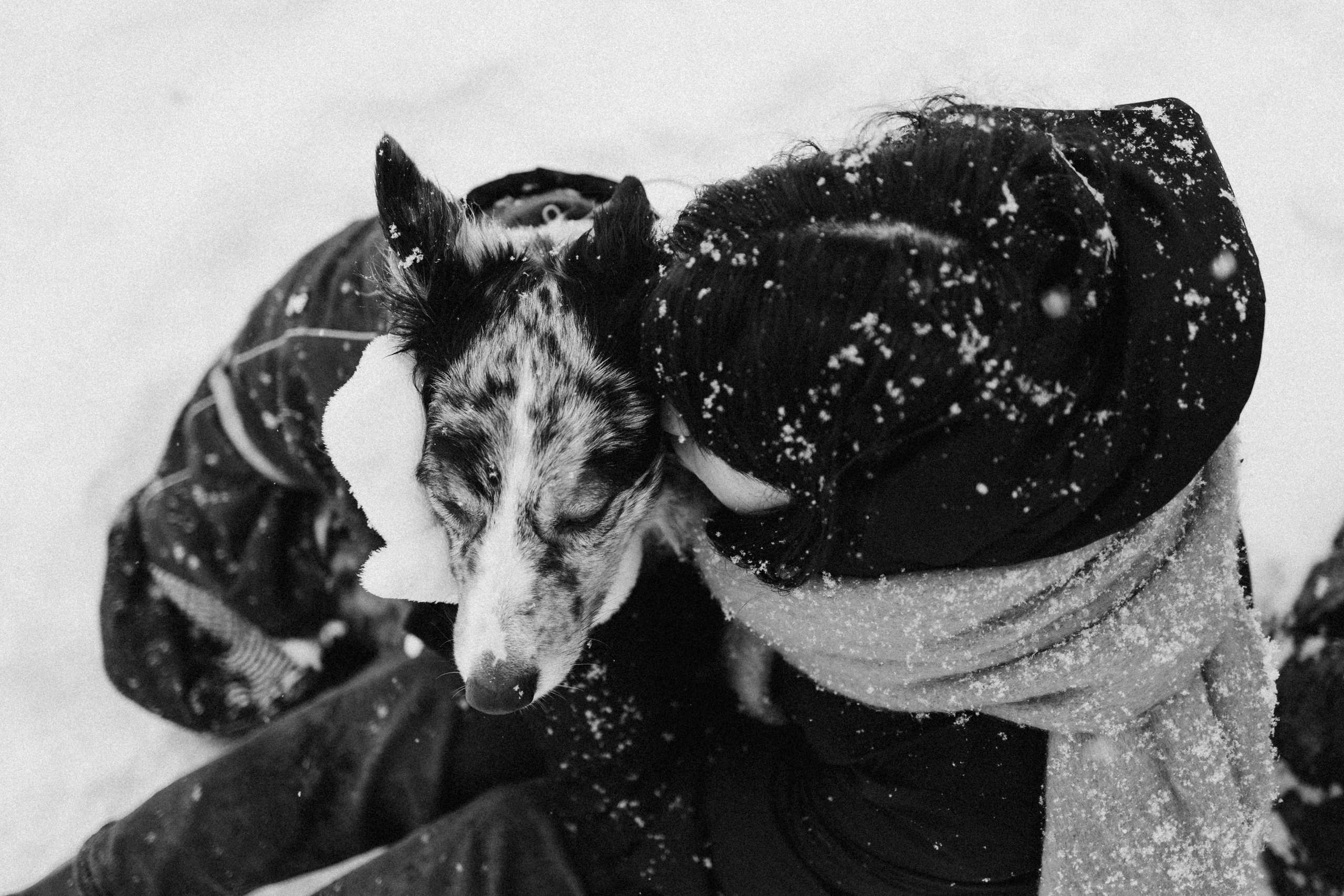 Настя и Тор. Фотораф — анималист Мария Шистка