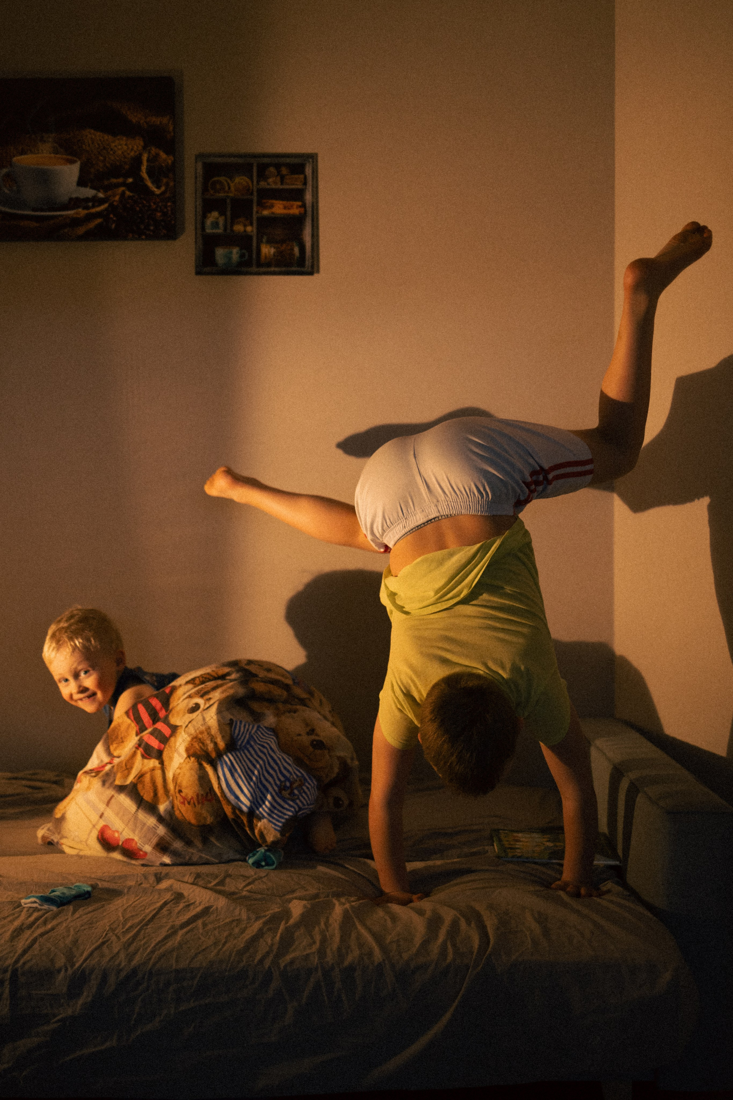 Мальчишки. Фотограф анималист в Москве Майорова Евгения