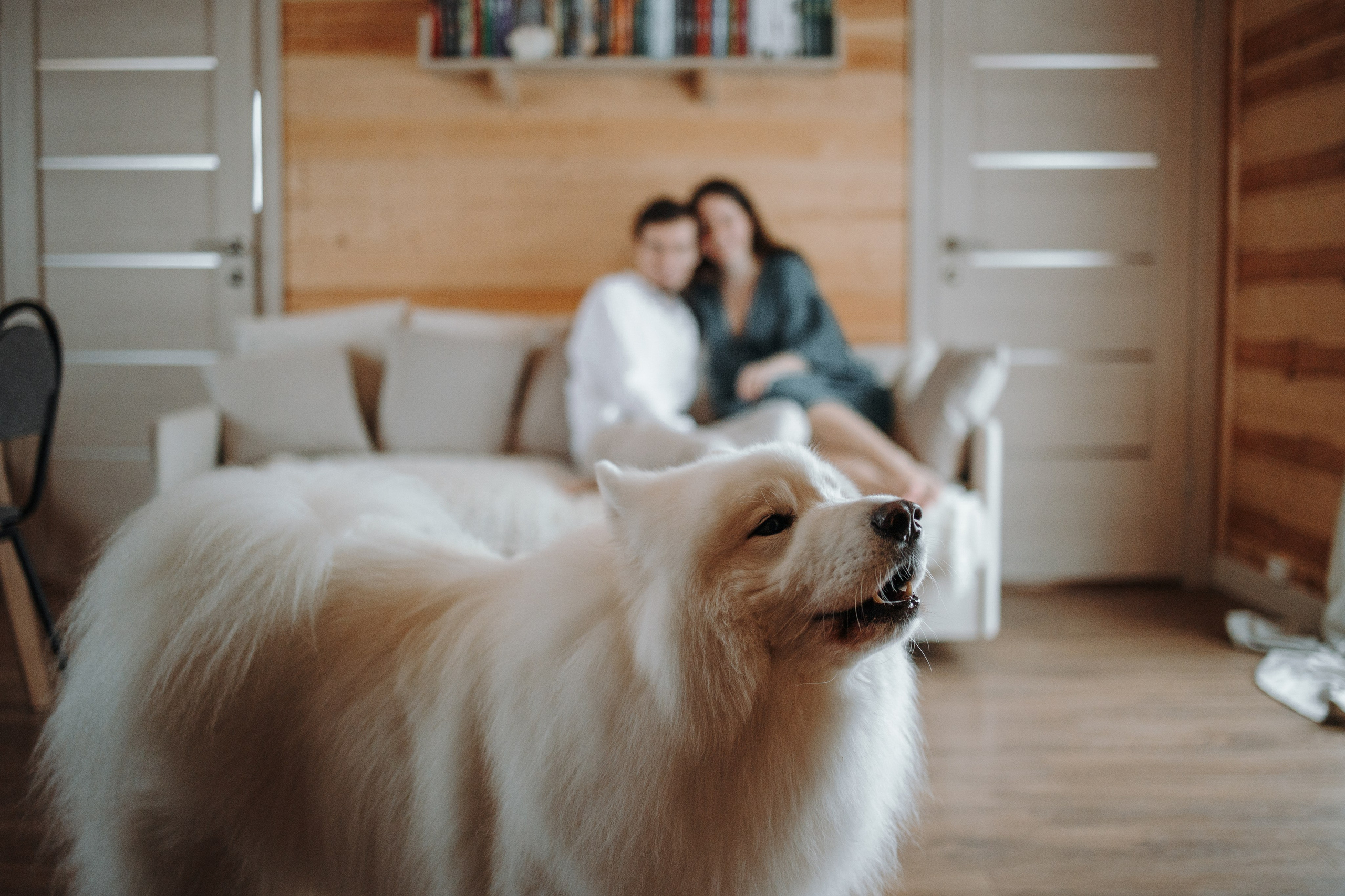 Маркус и его семья. Фотограф — Анималист | Санкт-Петербург