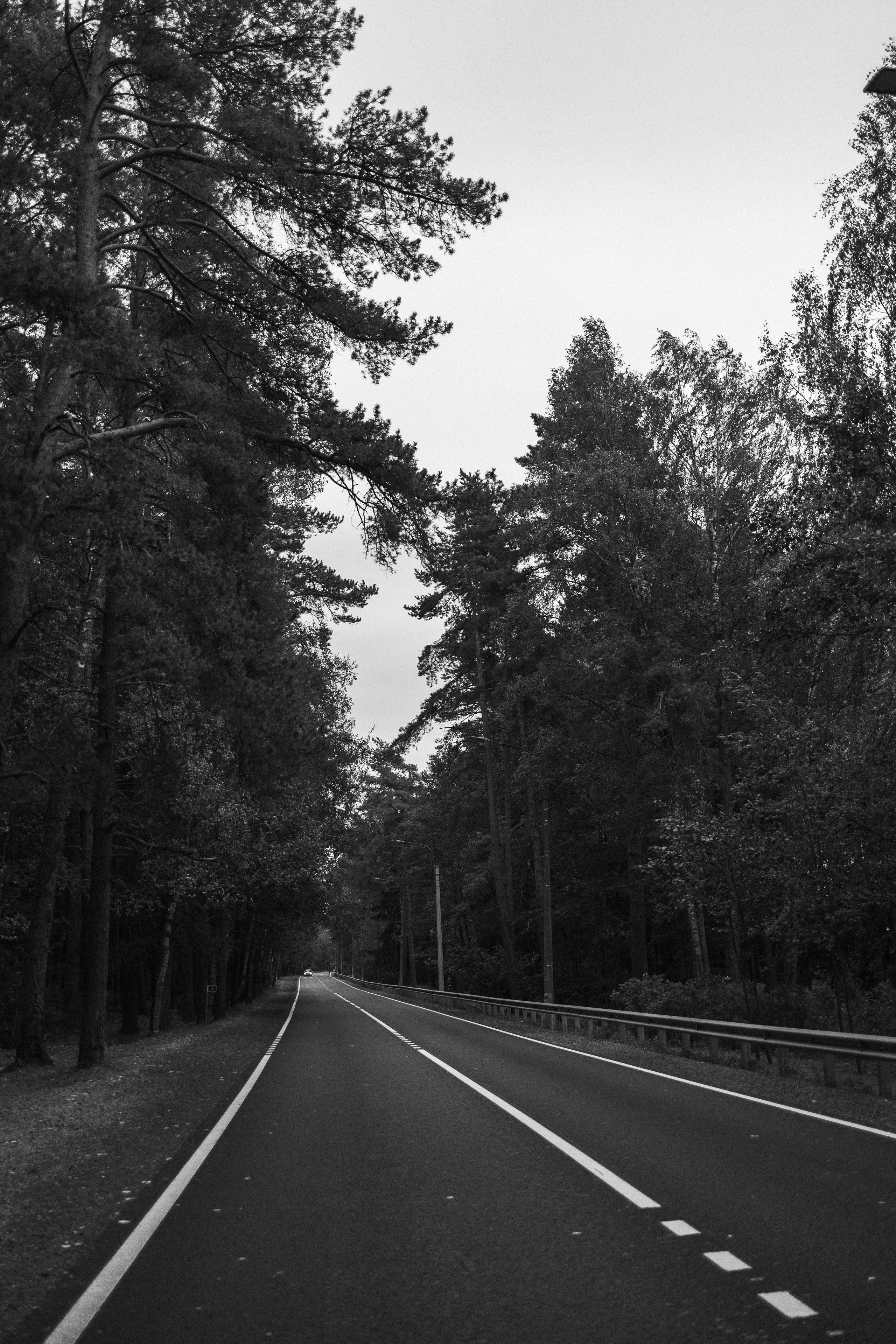 Фоси и его семьи. Фотограф — Анималист | Санкт-Петербург