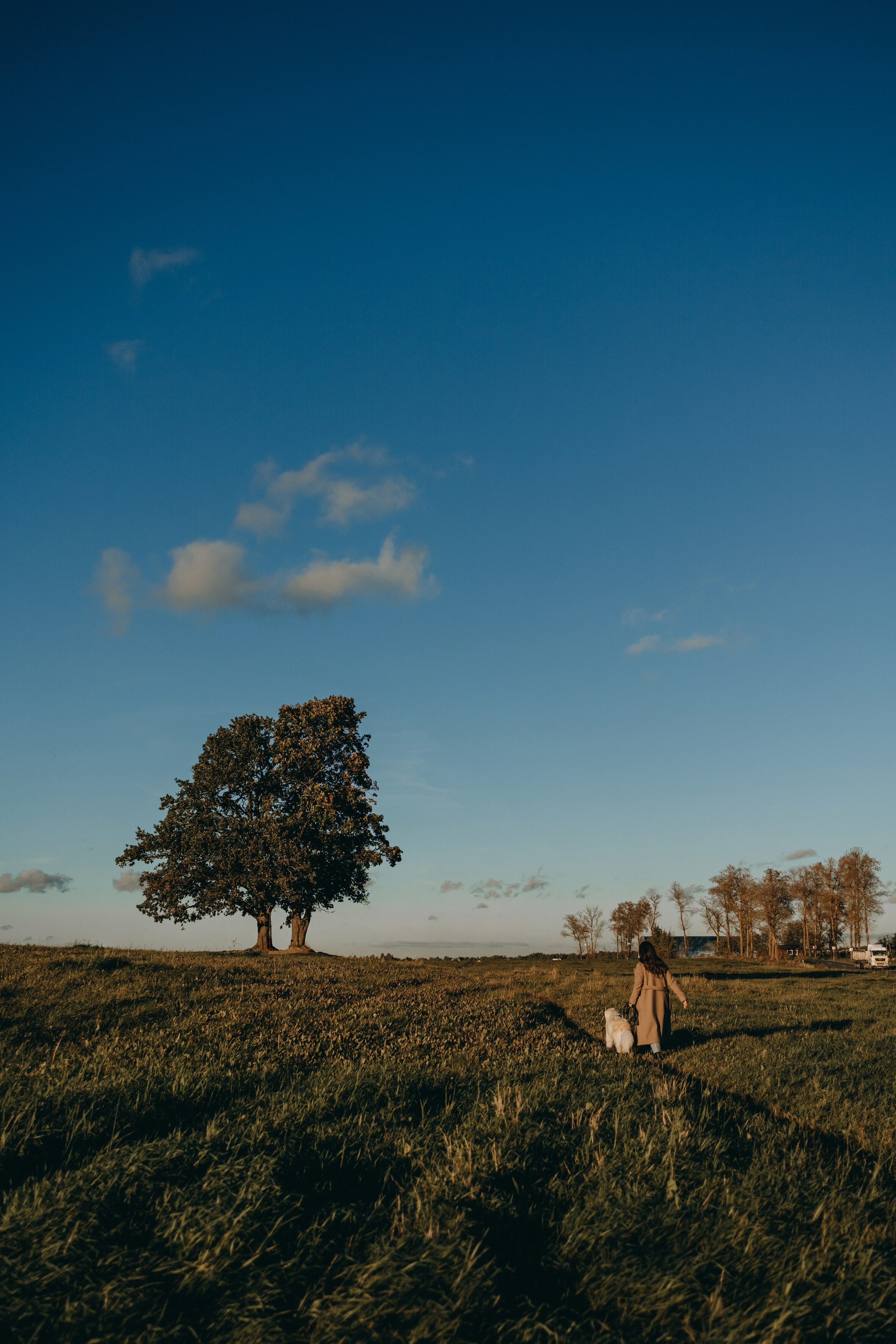 Лера и Скай. Фотограф — Анималист | Санкт-Петербург