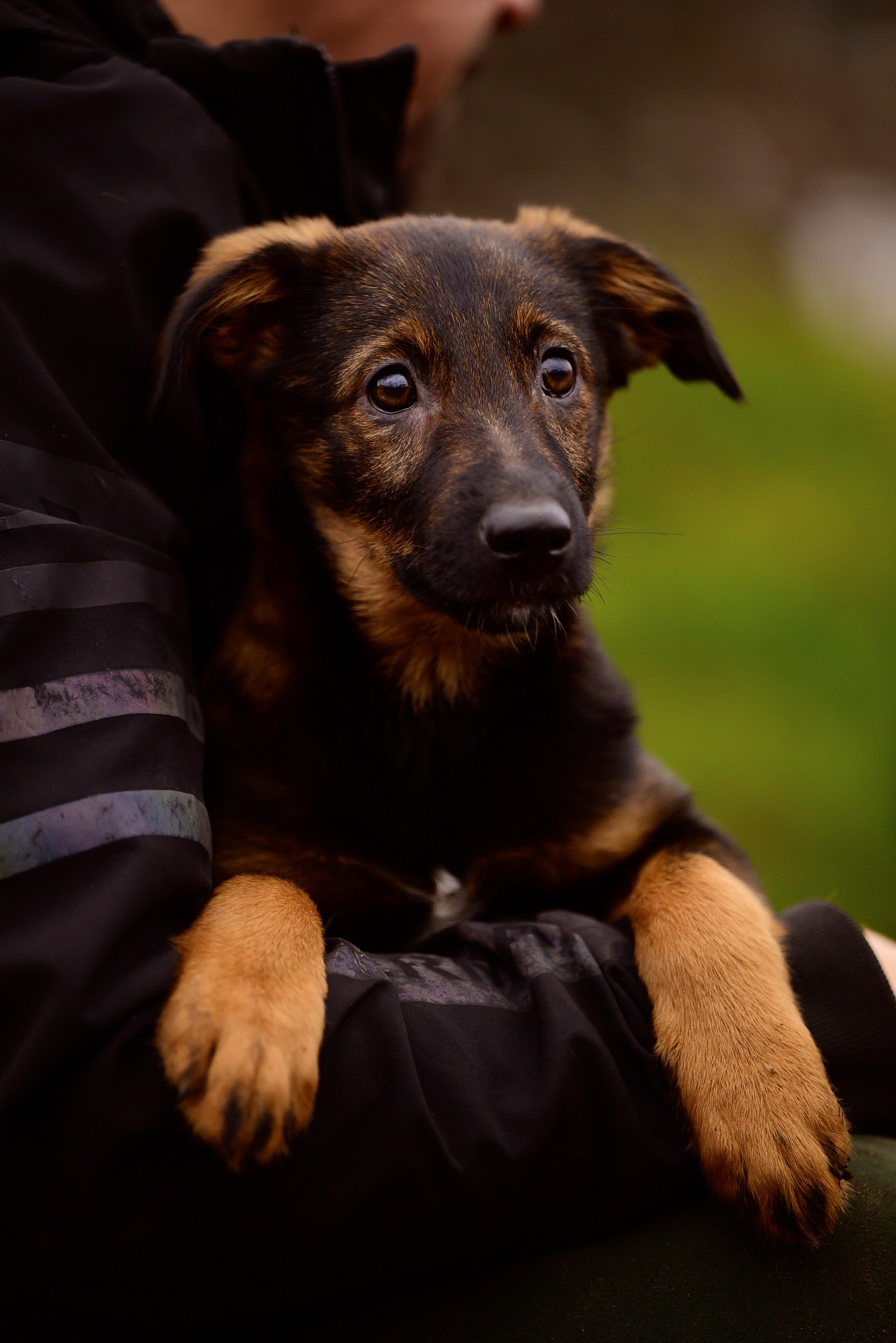 Круассанчики. Мила Астахова