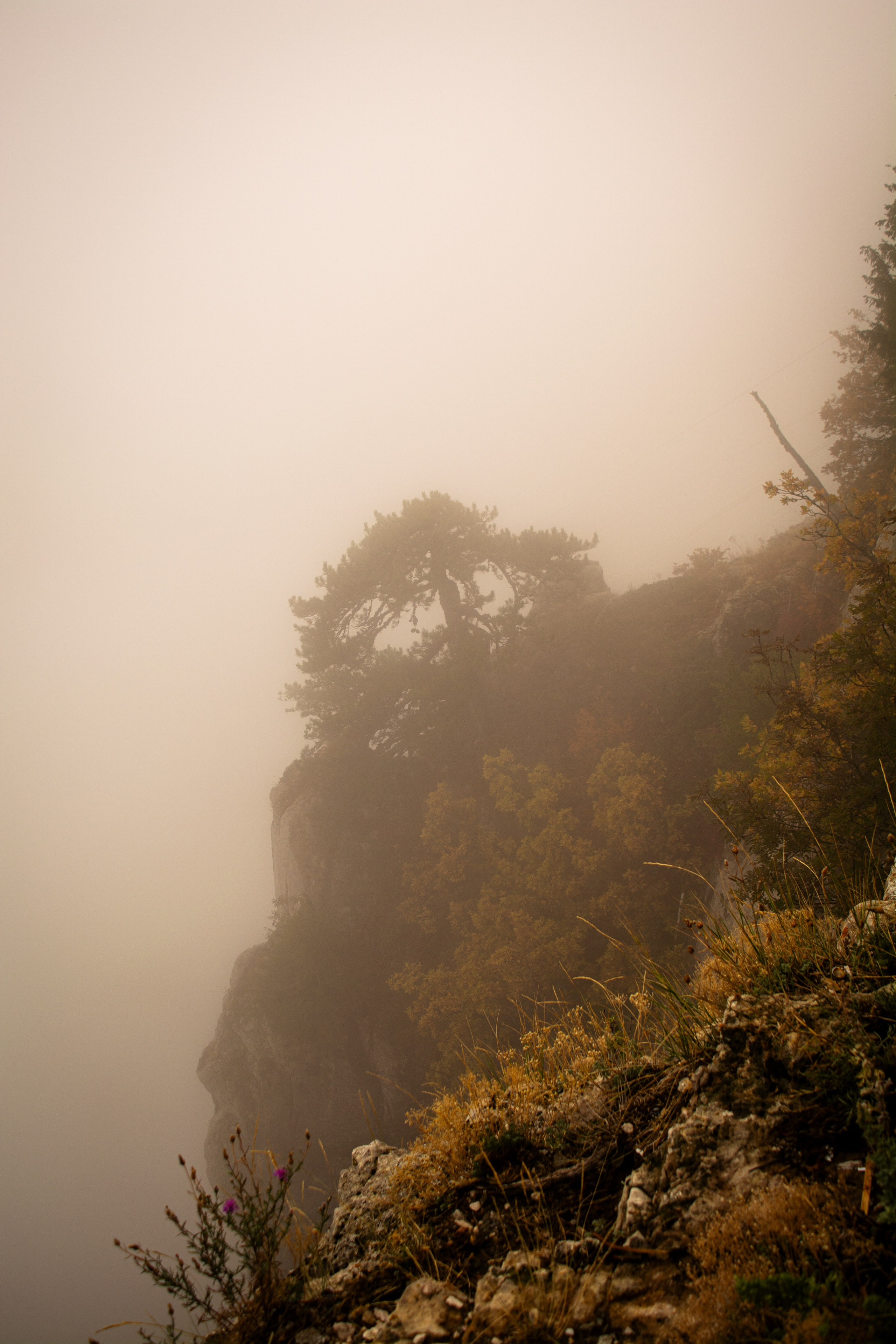 Полотна на заказ. Степан Александрович | Фотограф | Санкт-Петербург