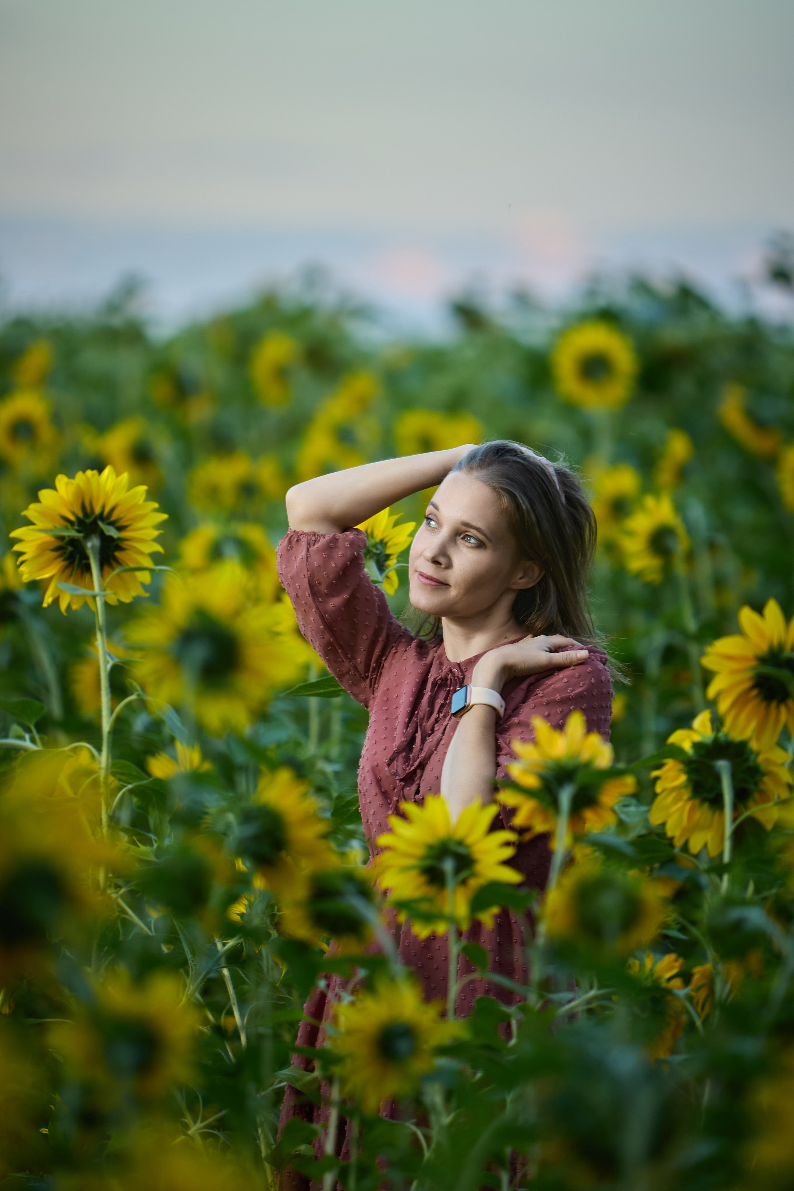 Подсолнухи. Разножанровый Фотограф в Омске Артём Руднев