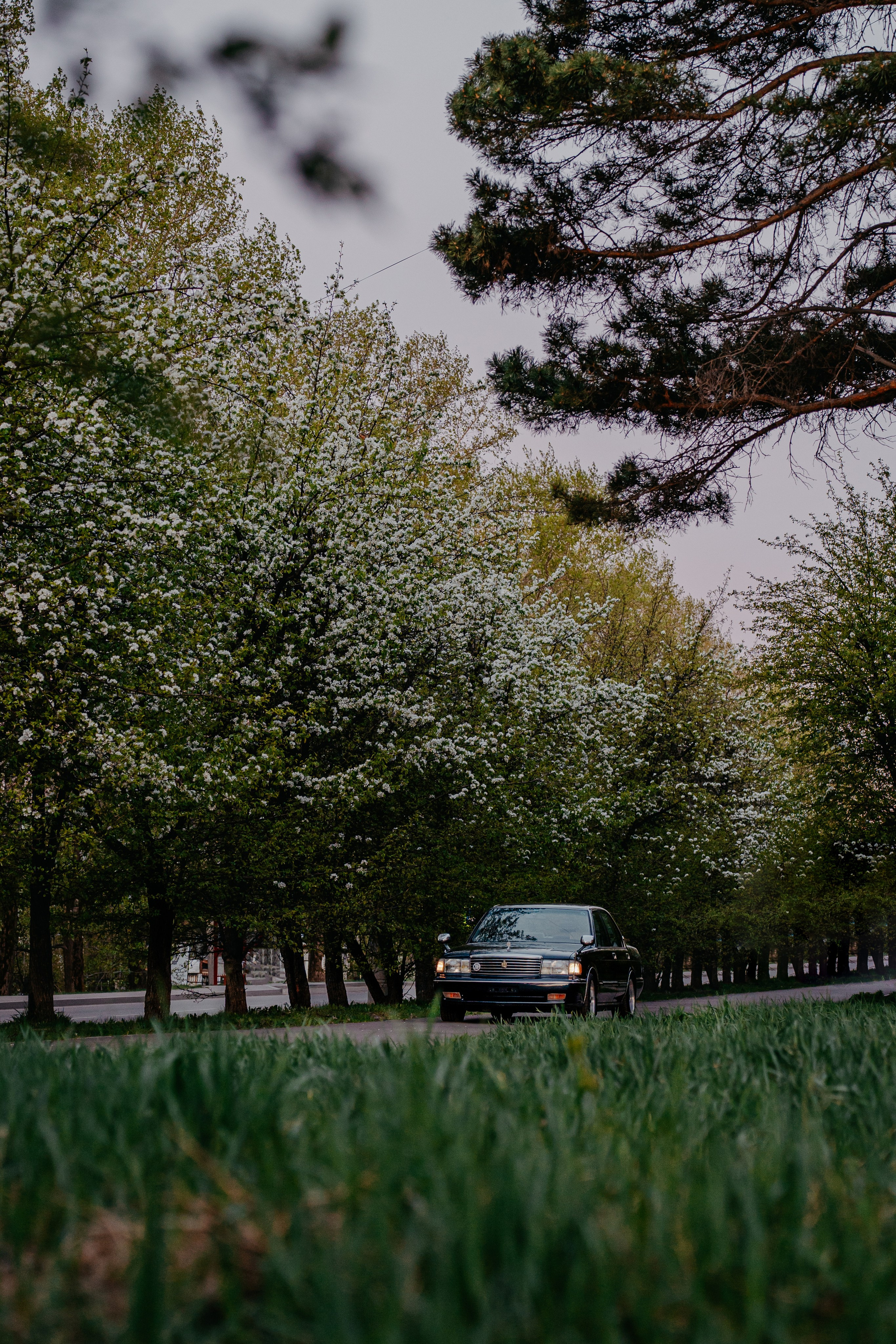 Toyota Crown 25'. Фотограф, видеограф и пилот дрона на Байкале