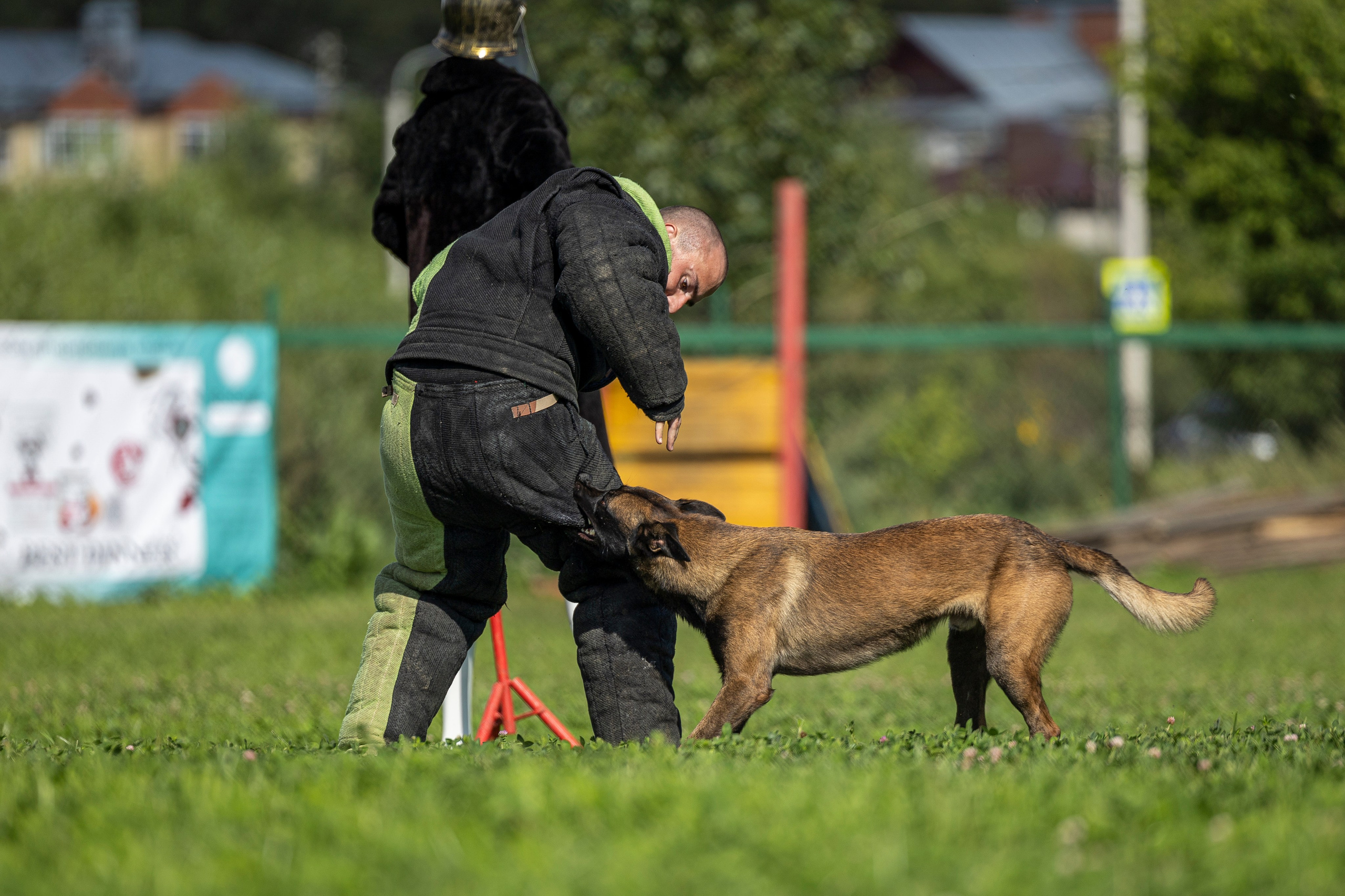 Соревнования по Мондьорингу г. Вологда 10-11.08.2024. Фотограф-анималист Анна Маринич