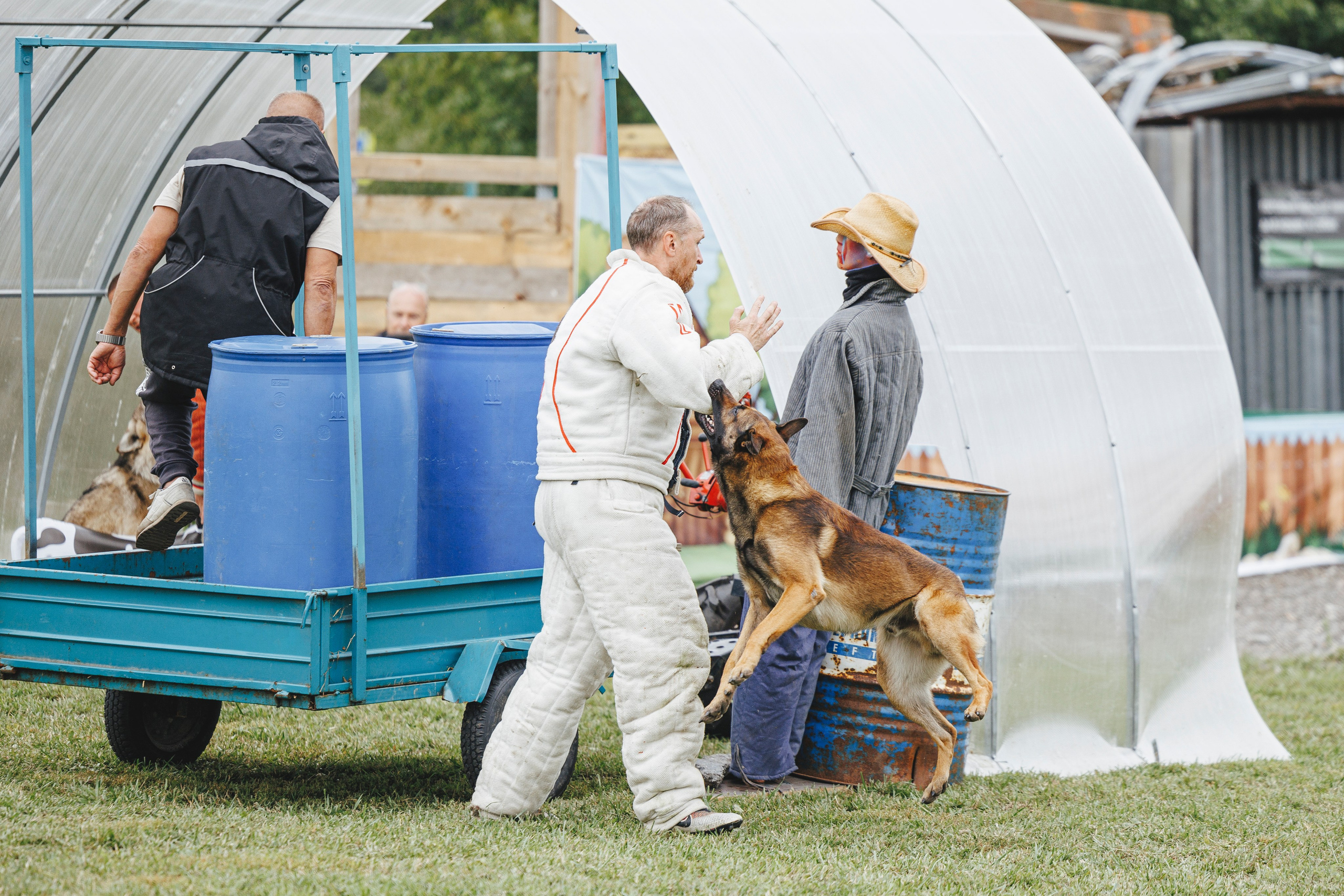 08.08.25-10.08.25 ЧР по мондьорингу г. Вологда. Фотограф-анималист Анна Маринич