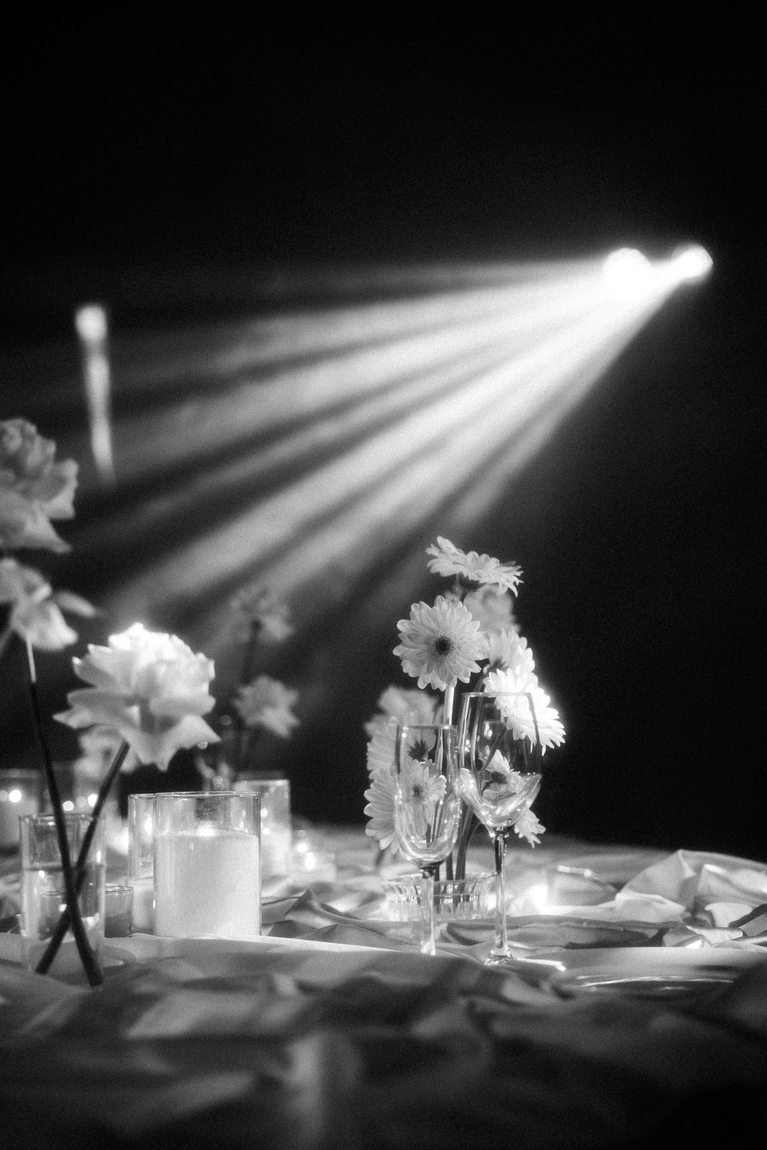 Вероника & Максим. Phdkvmr.ru