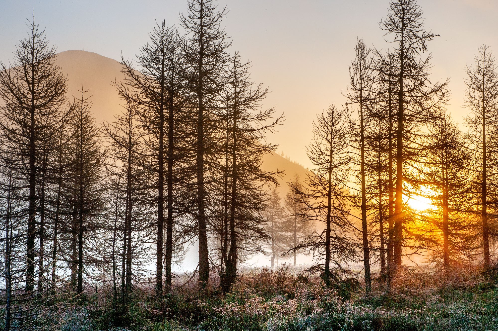Свадебный фотограф в Геленджике