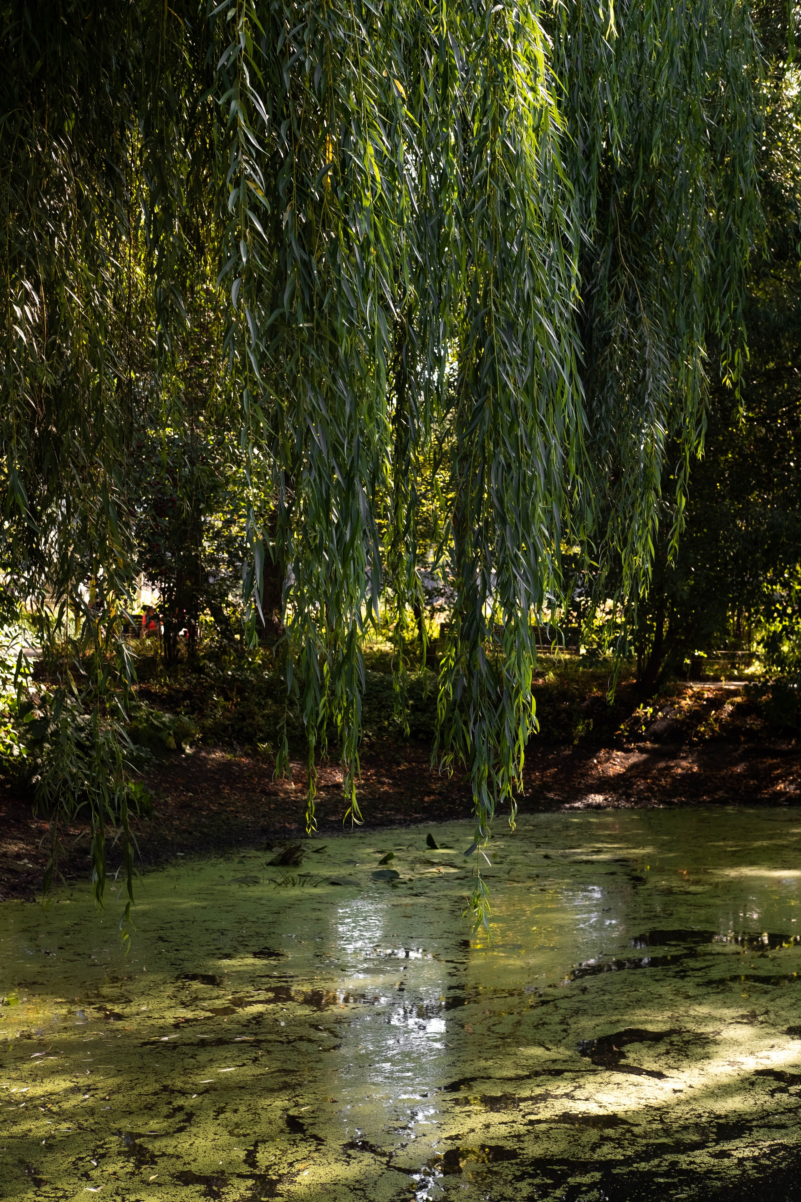 Москва 2024. Свадебный и семейный фотограф в Новосибирске, Санкт-Петербурге, Москве