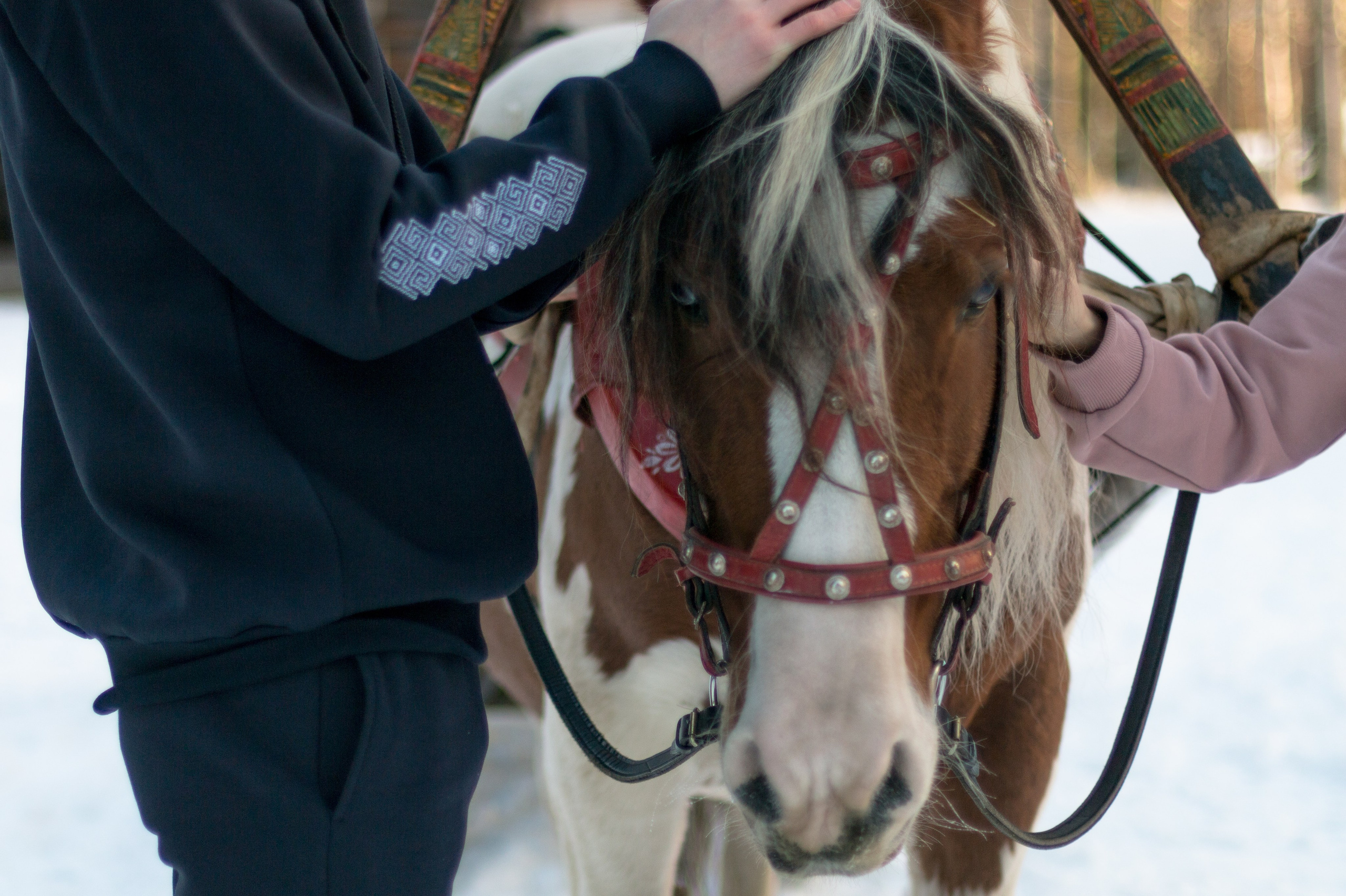 Северодвинск, пара ребят. Фотограф в Сочи