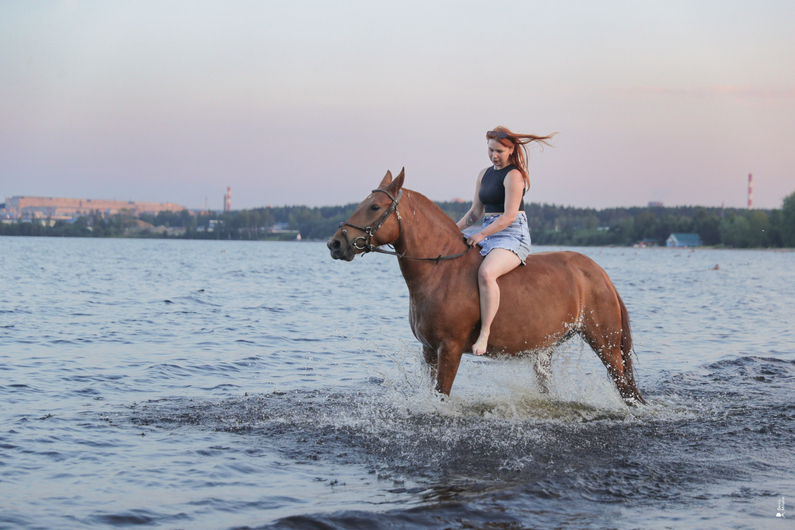 Фото с лошадьми. Портретный фотограф Денис Милютин