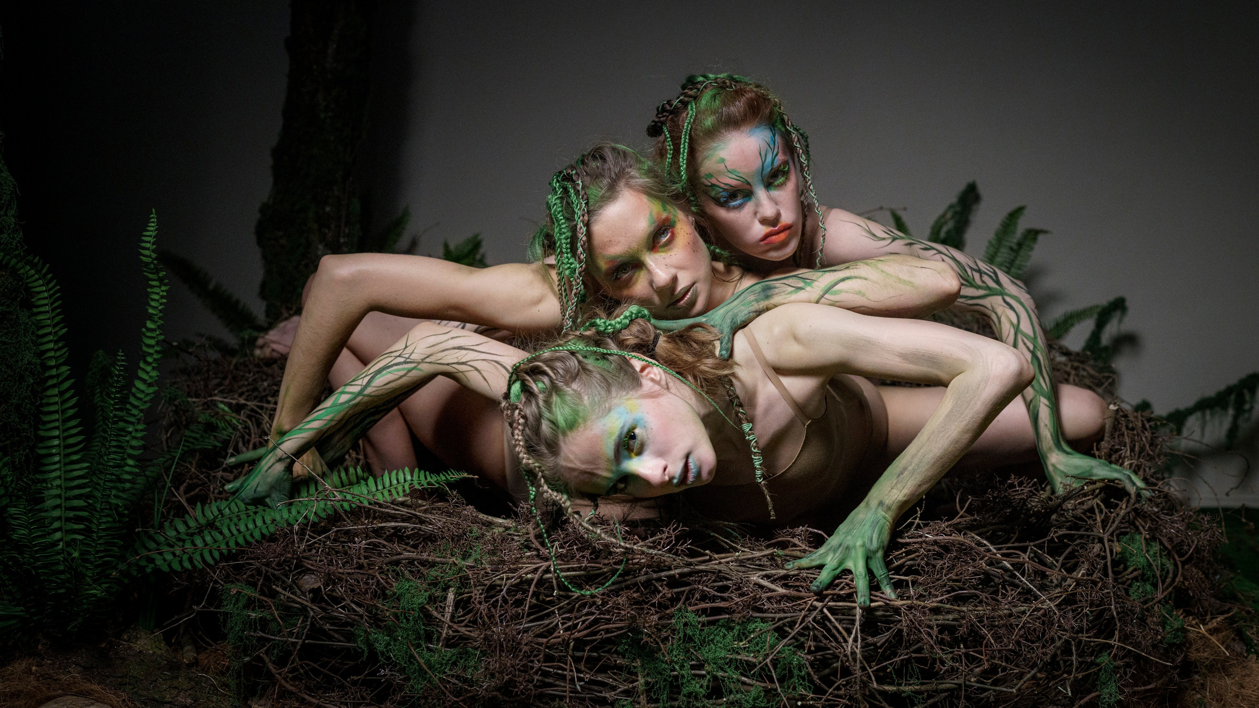 Гнездо. Фотограф Сергей Танков