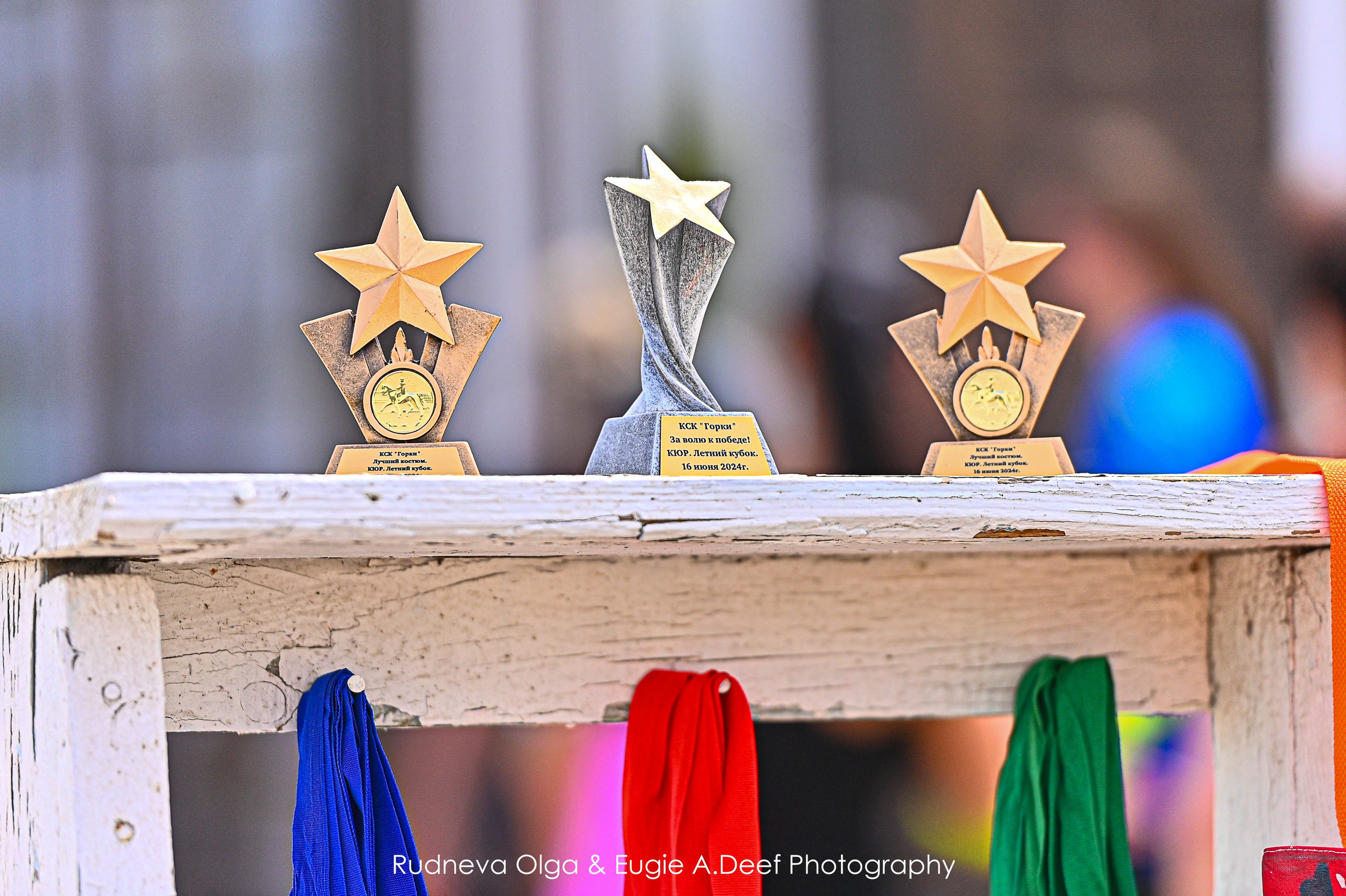 КСК Горки — традиционный Ежегодный Костюмированный КЮР- 2024. ТУРНИРНАЯ КОННАЯ ФОТОГРАФИЯ, Руднева Ольга и Евгений Адеев