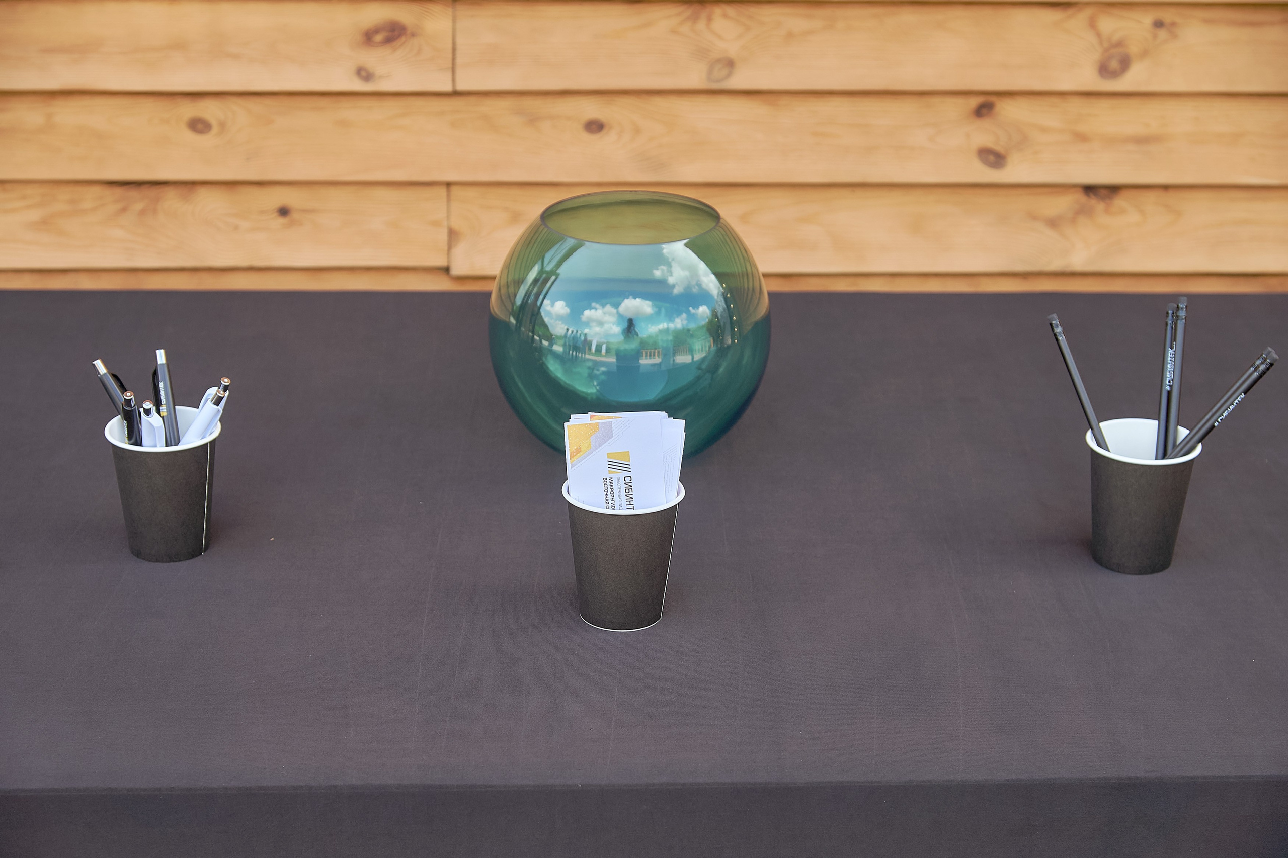 СИБИНТЕК — День нефтянника. Фотограф Яковлев Роман — Красноярск