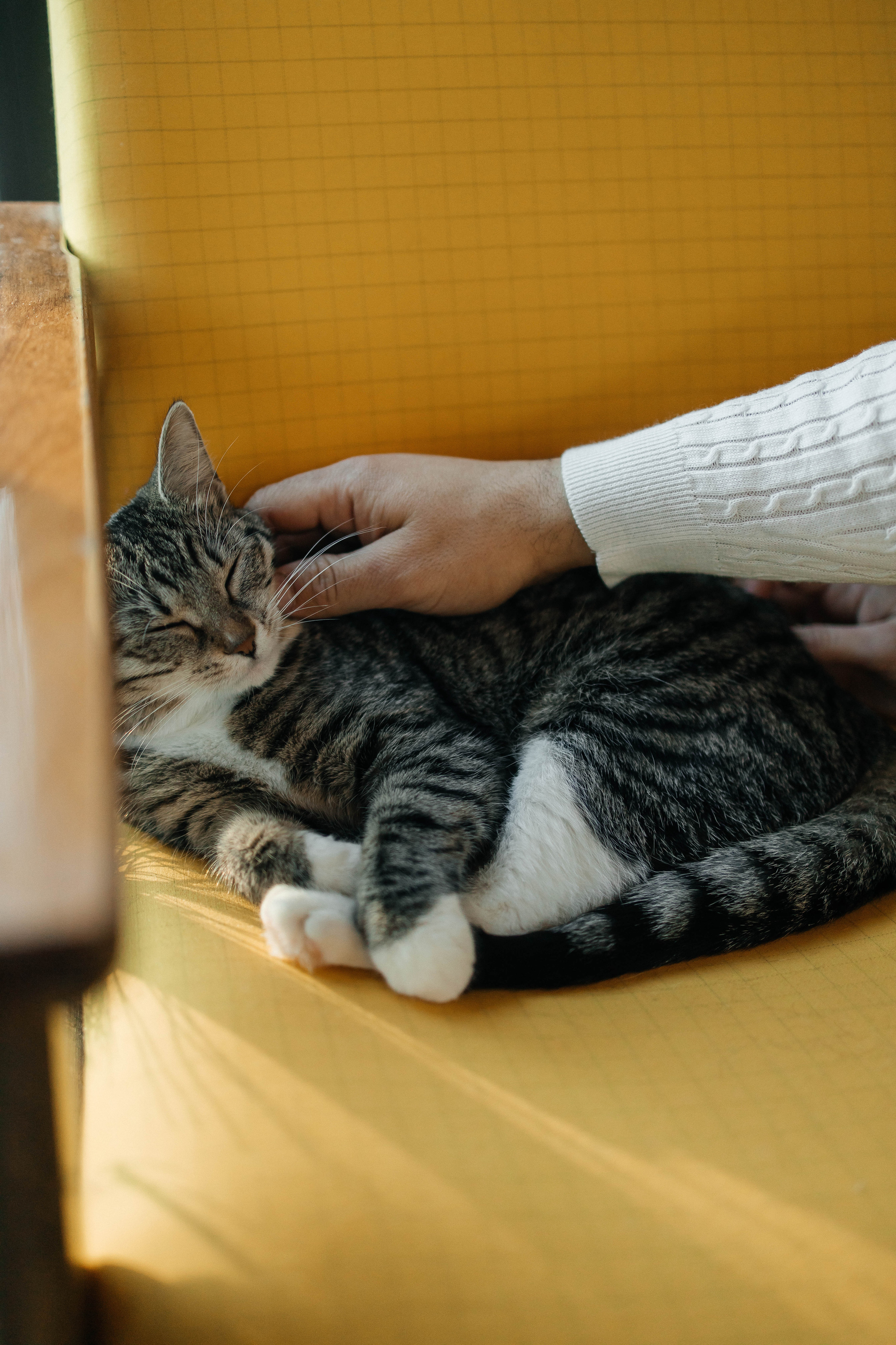Саша и Захар с детьми. Студия art black house. Фотограф в Красногорске Инна Романова, индивидуальные съемки, лавстори