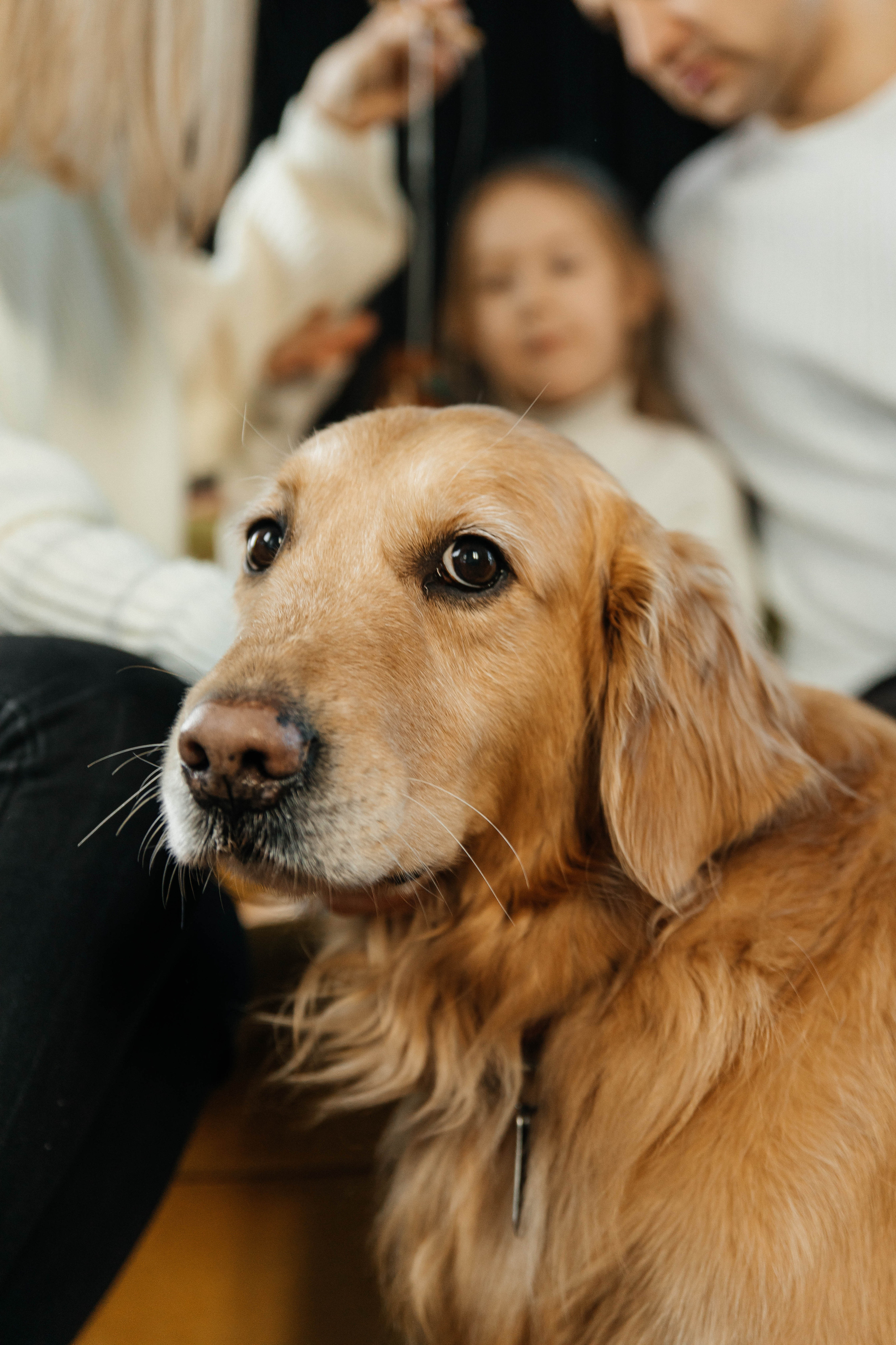 Саша и Захар с детьми. Студия art black house. Фотограф в Красногорске Инна Романова, индивидуальные съемки, лавстори