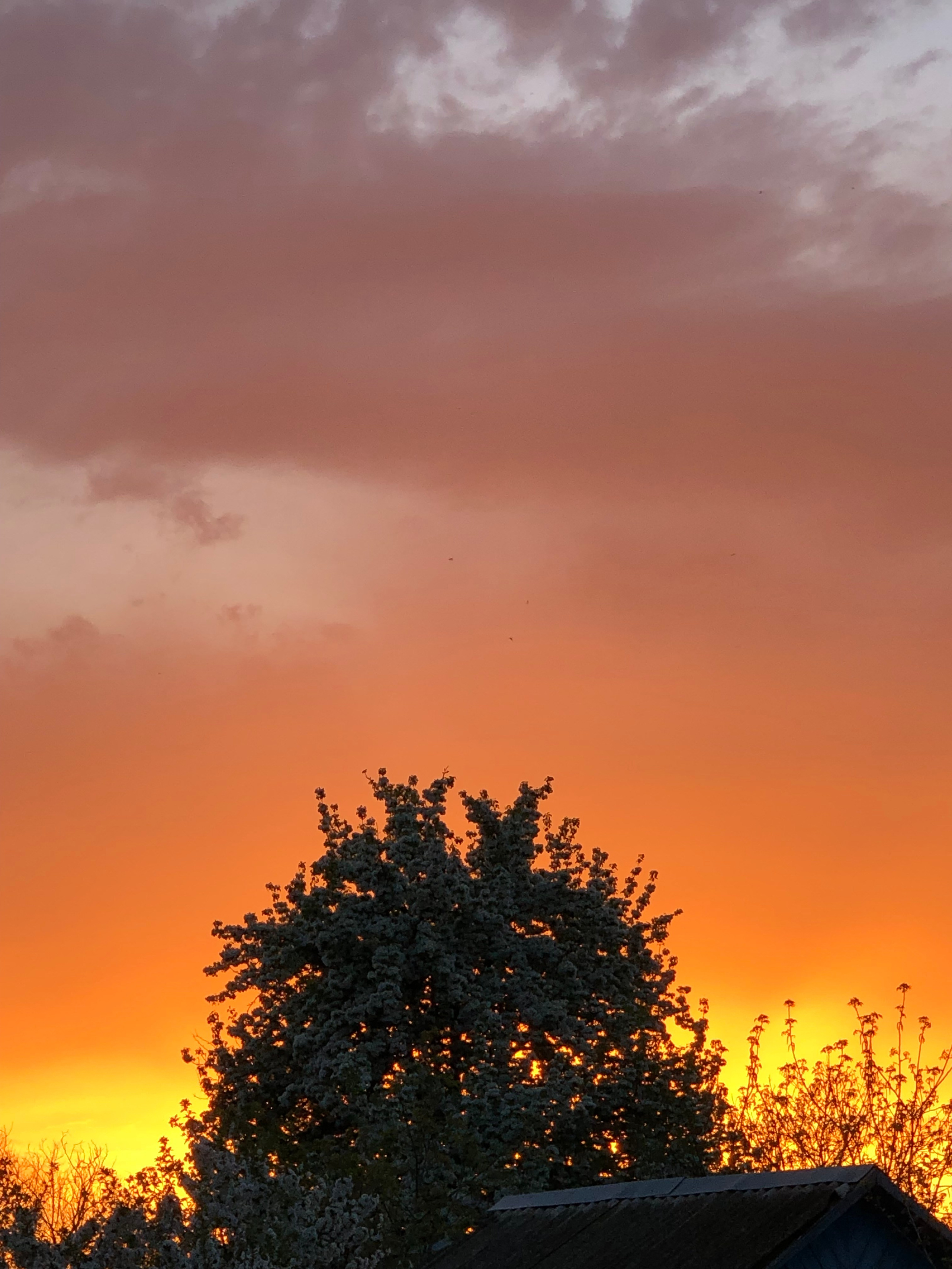 Визуальный дневник. Портретный фотограф в Москве Гахраманова Екатерина