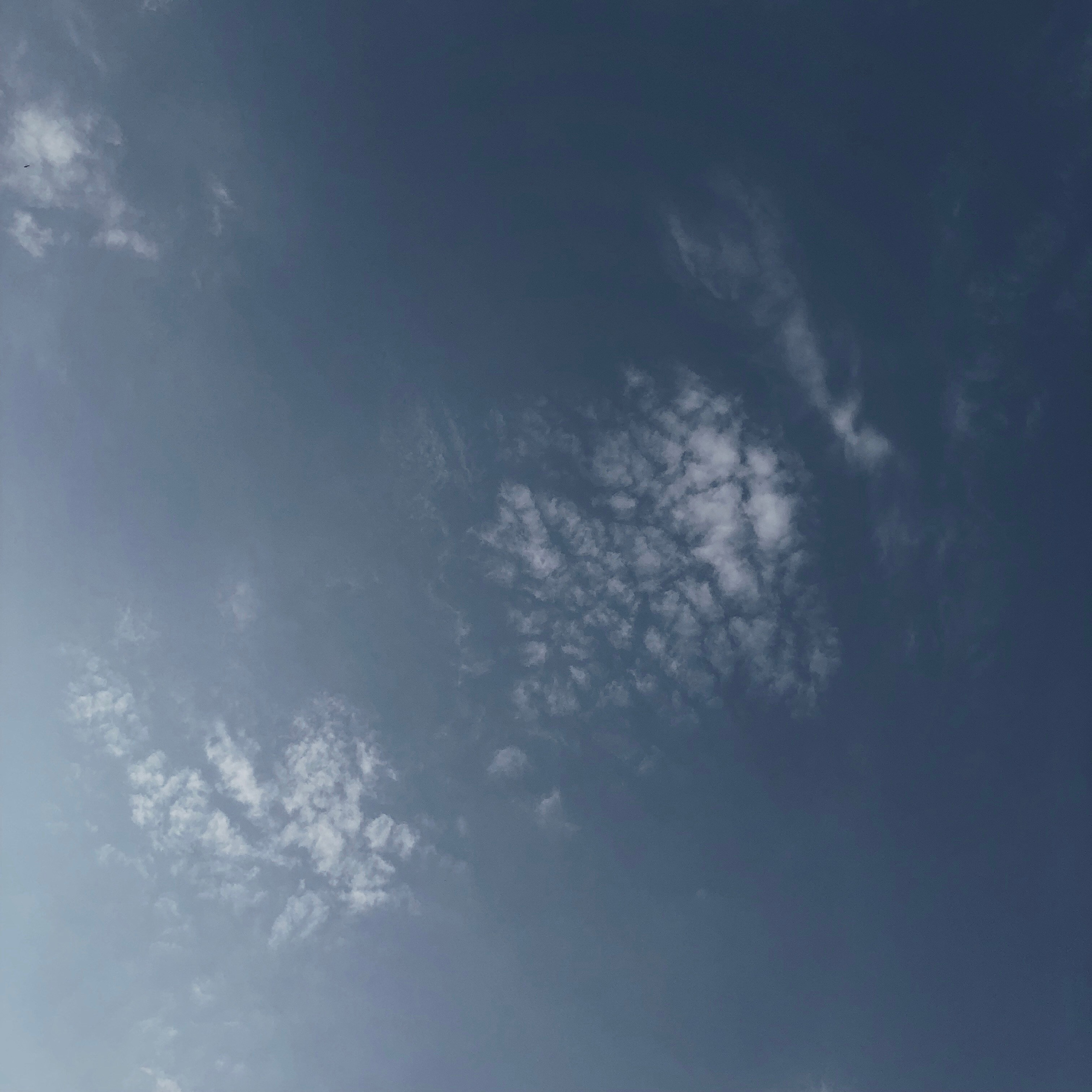 Визуальный дневник. Портретный фотограф в Москве Гахраманова Екатерина