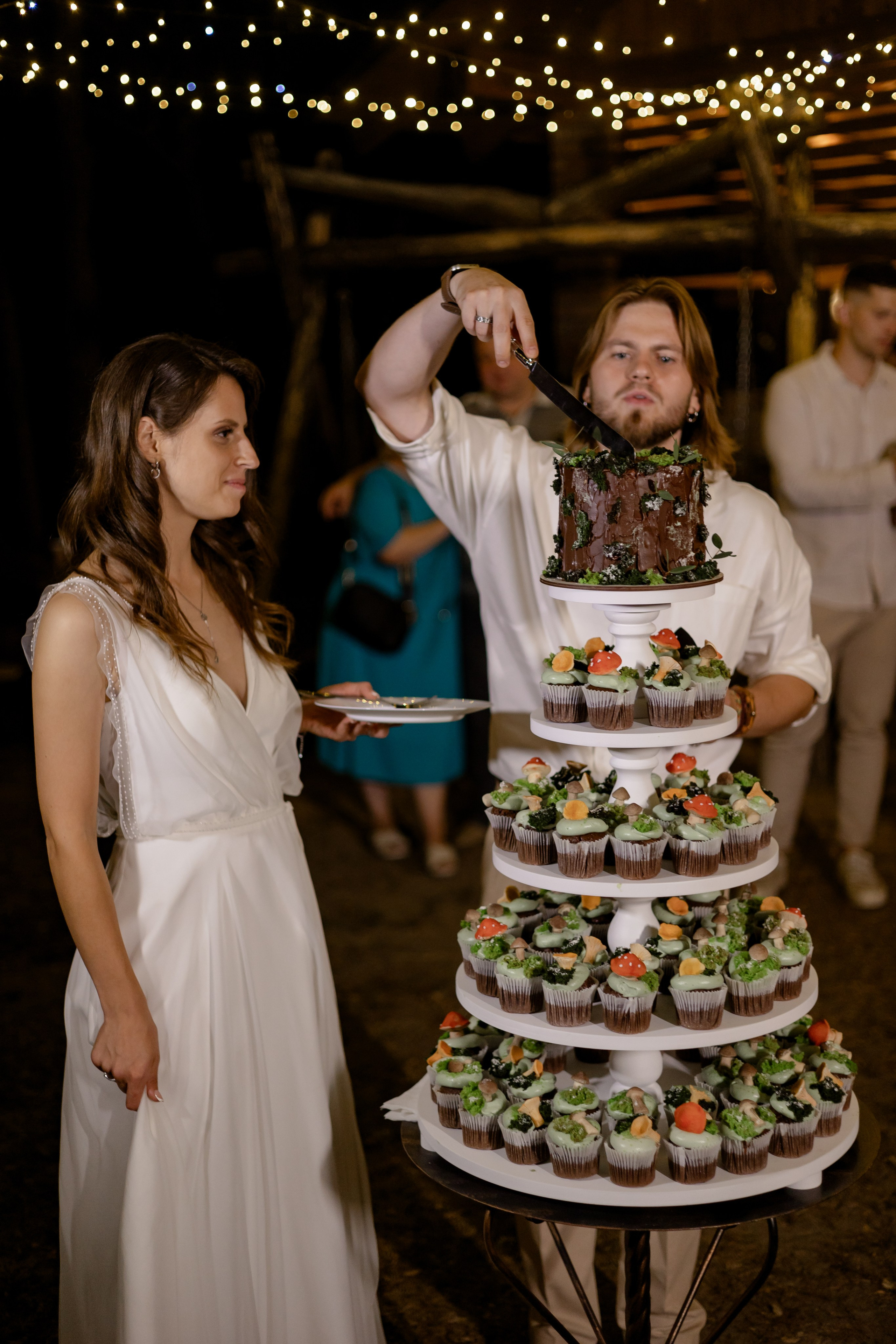 Виноградники. Dima Lemeshevsky