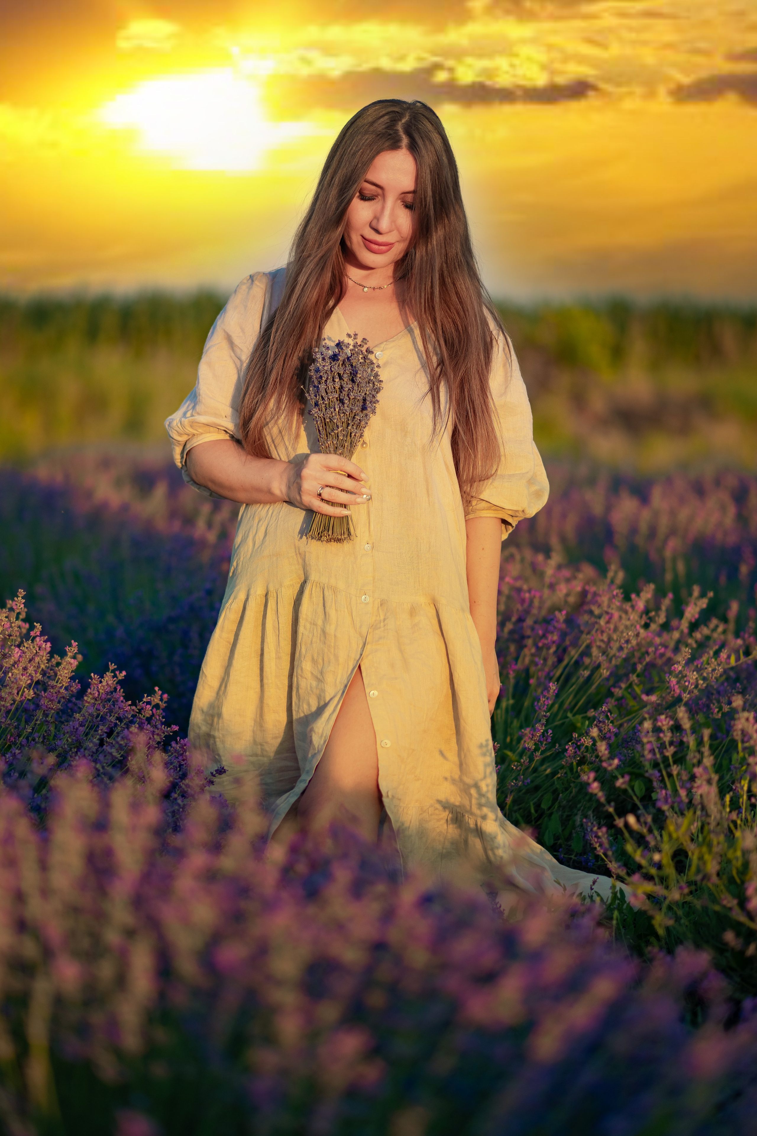 Лаванда. Главная