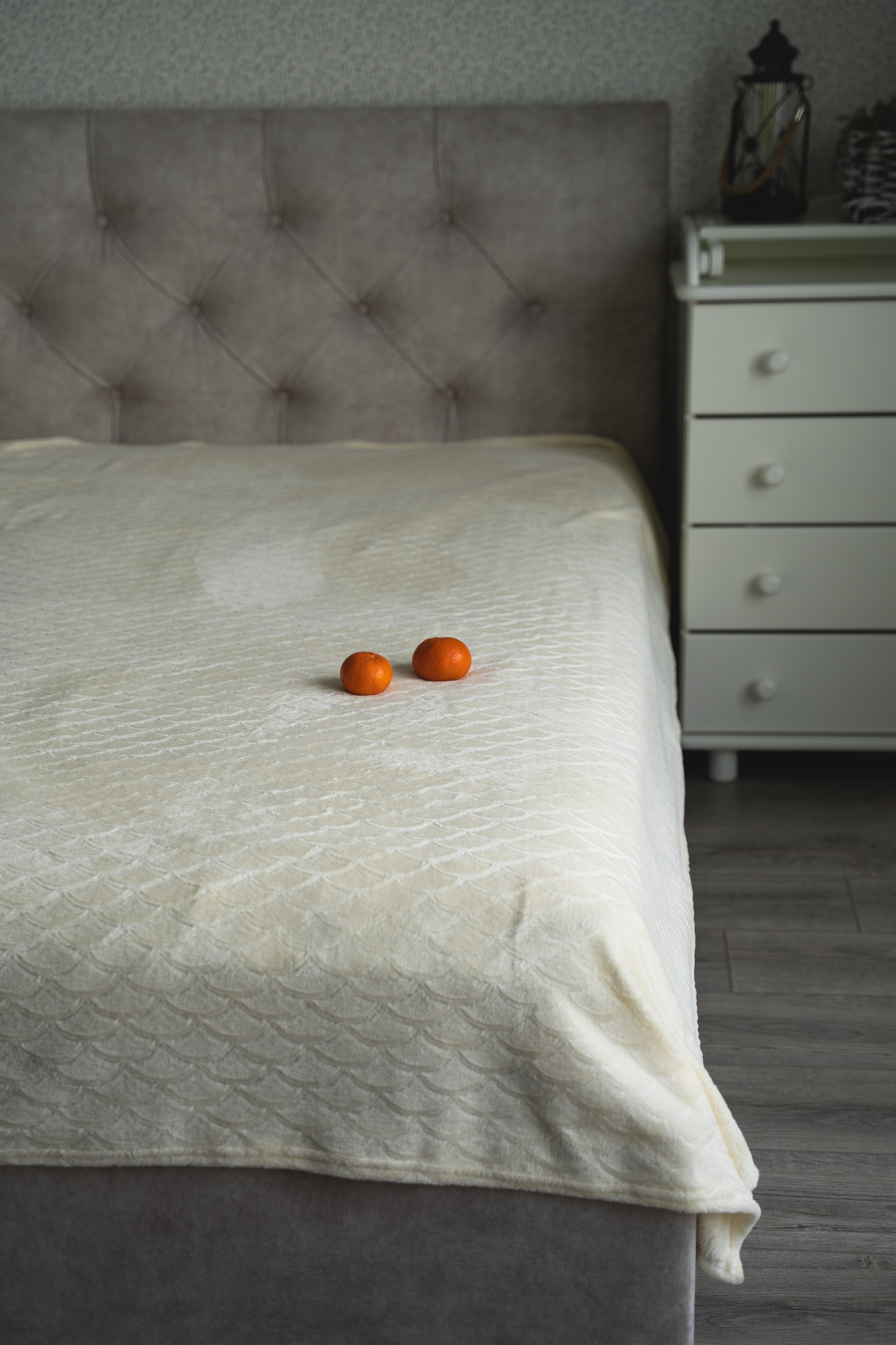 Пледный контент. Визуальный художник «Границы внутри»