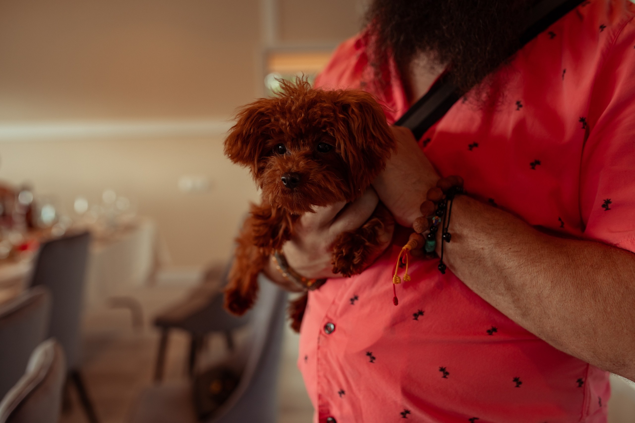 Юбилей Полины в Пароходе. Семейный и детский фотограф в Москве Дорогова Екатерина