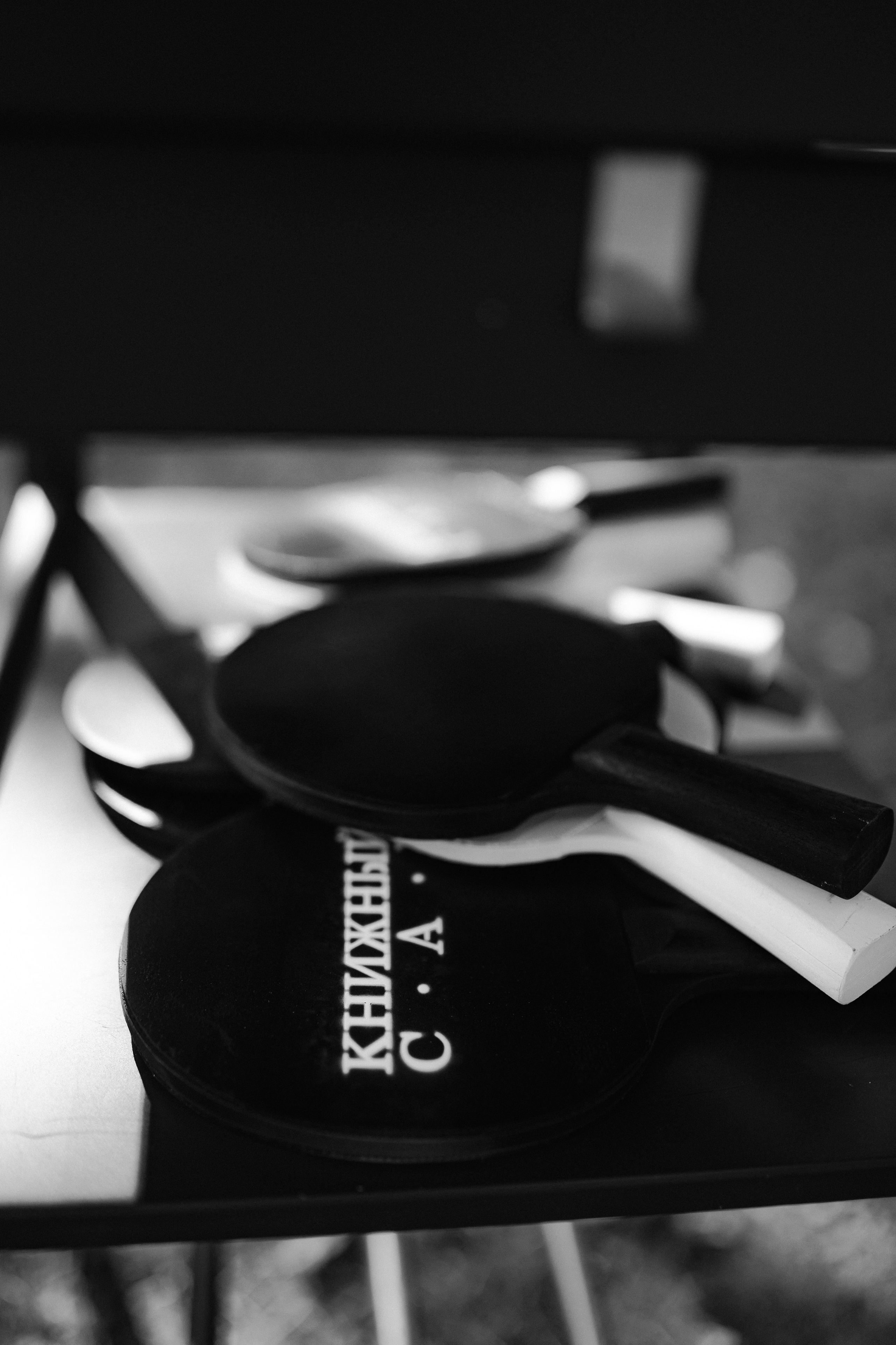 Книжный сад | 2025. Портретный и репортажный фотограф Настя Куприянова