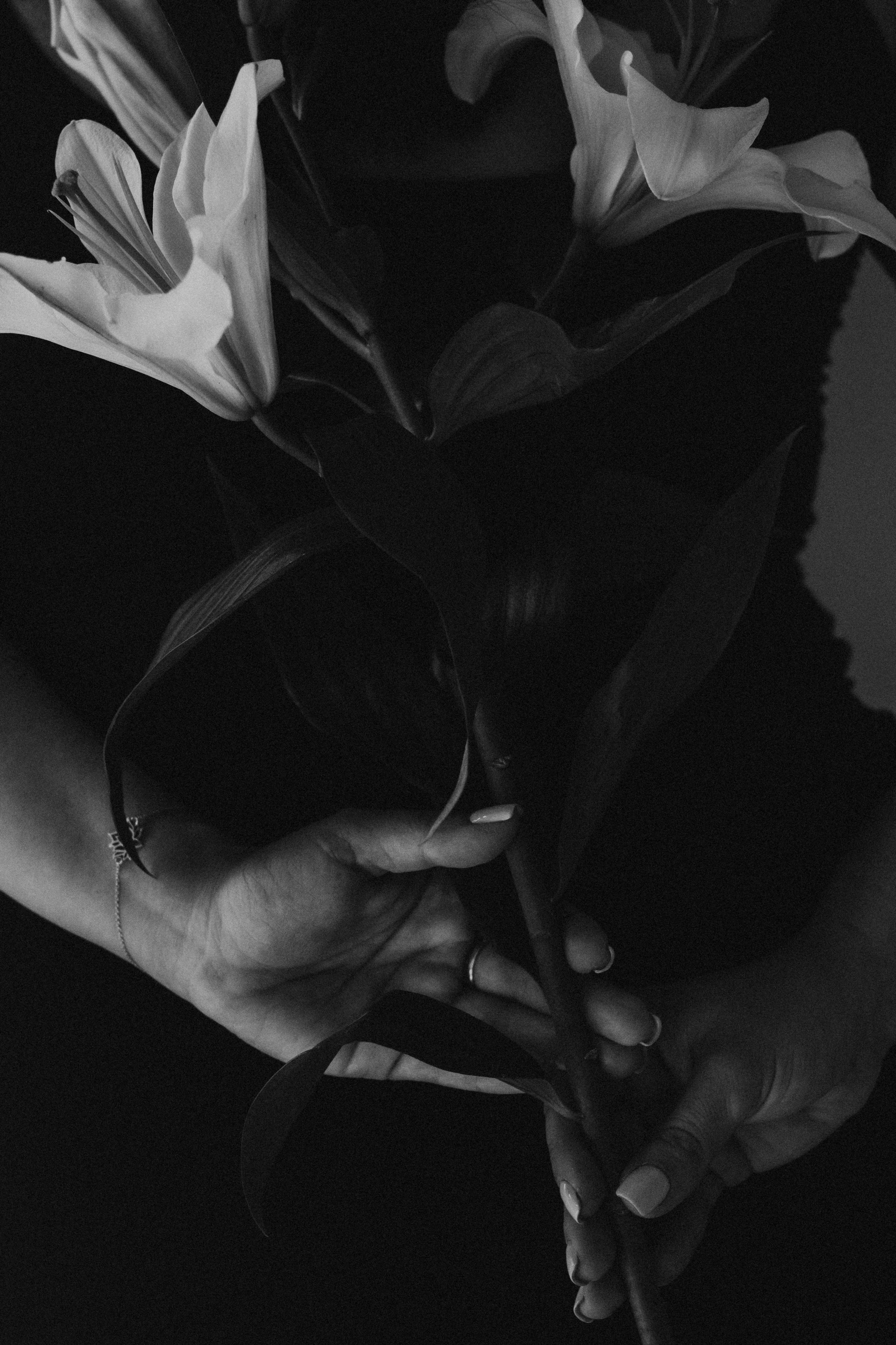 Тропикана Женщина. Katrin Rosevelli твой персональный фотограф