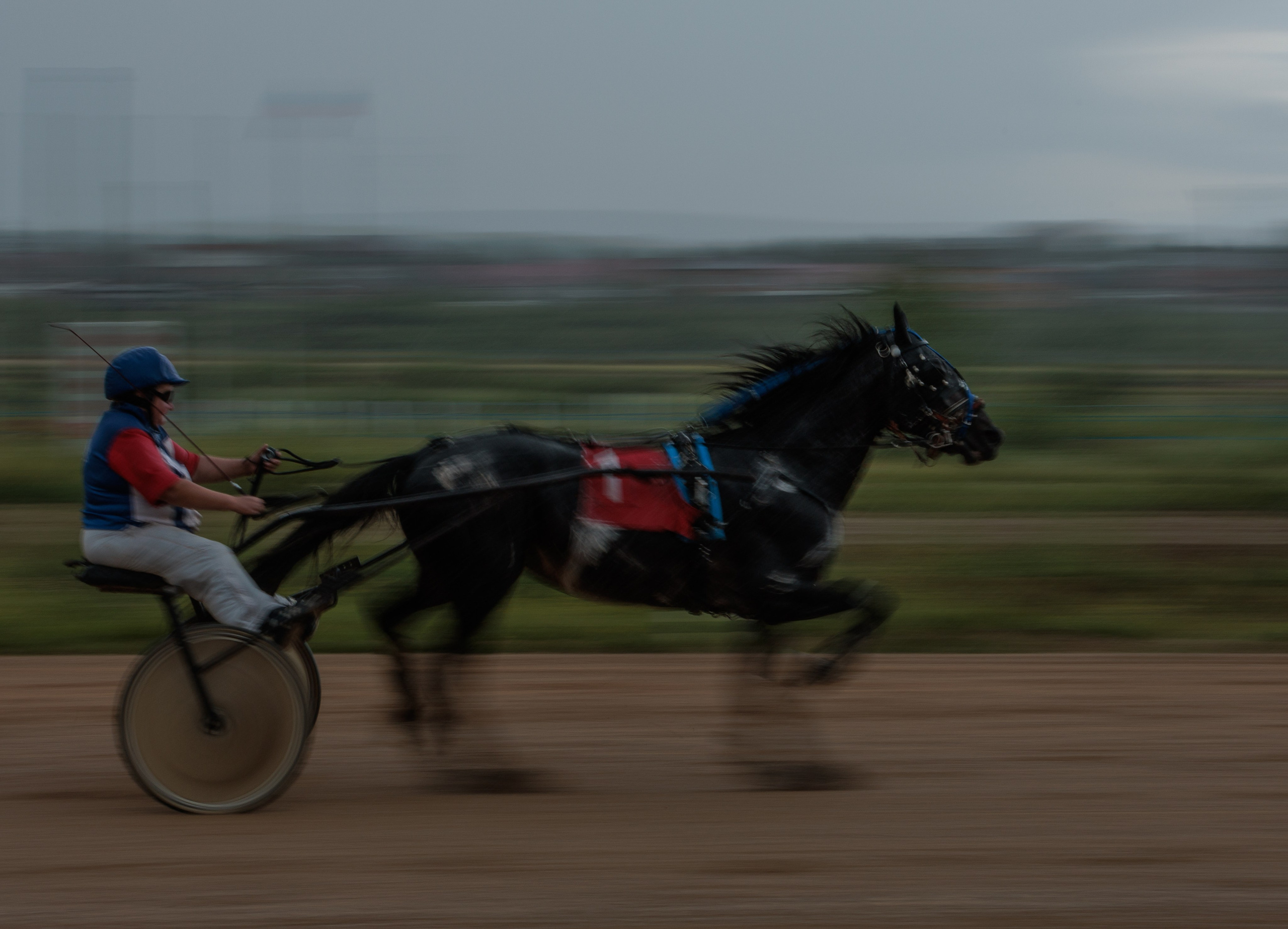 2025. Конный фотограф в Красноярске — Любовь Похабова
