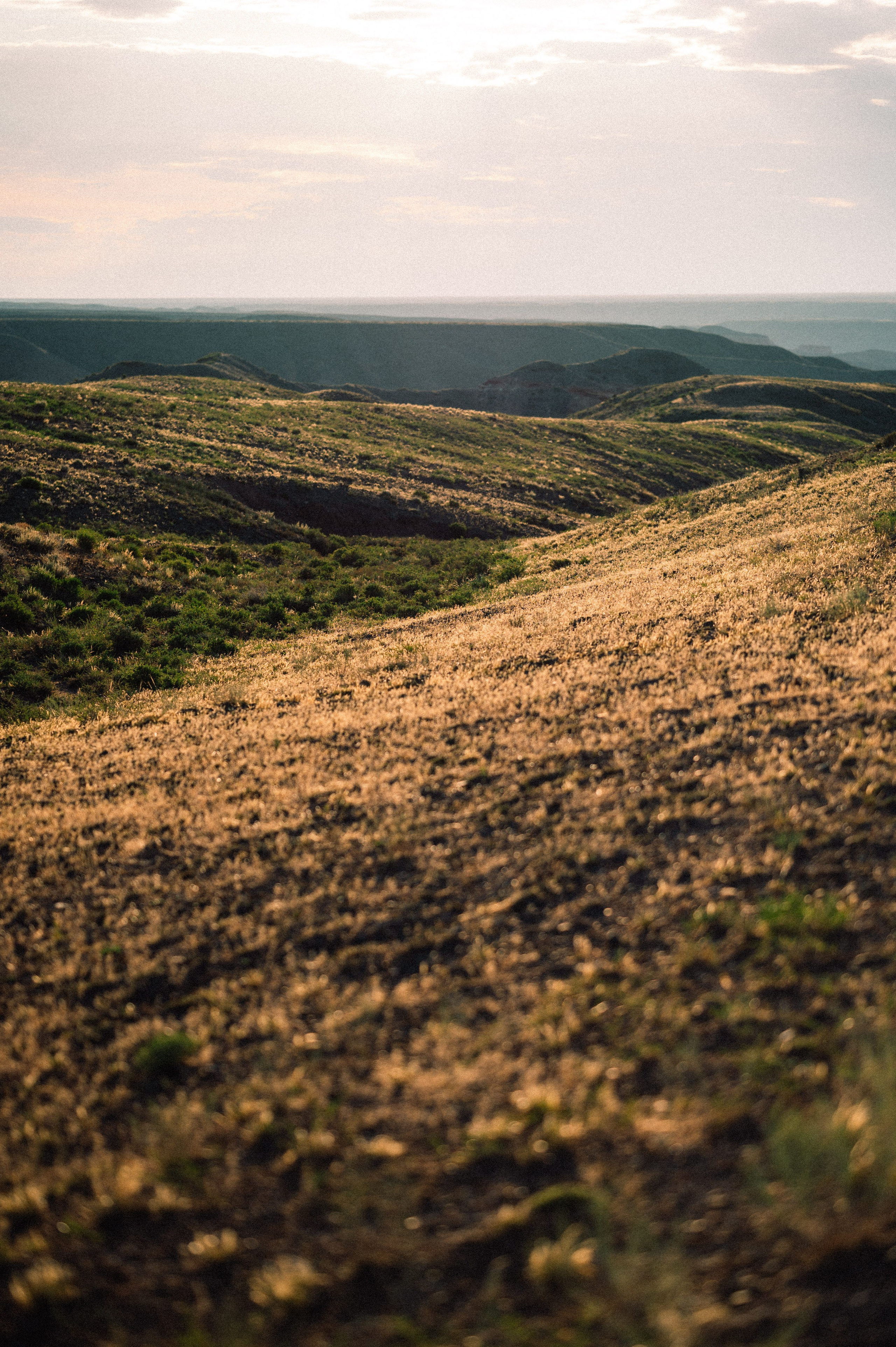 Чарын-Кольсай: лето 2024. Фотограф в Алматы — Дарья Фёдорова